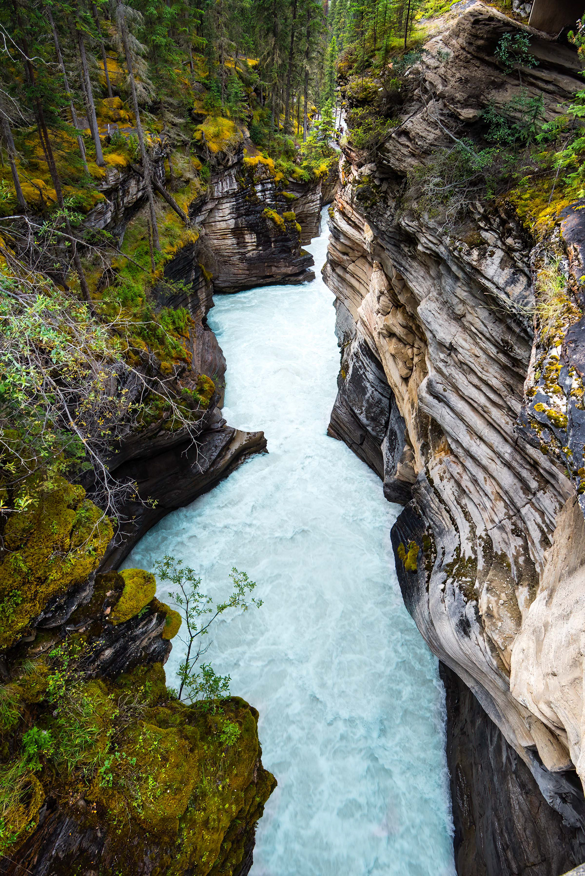 Athabasca Falls