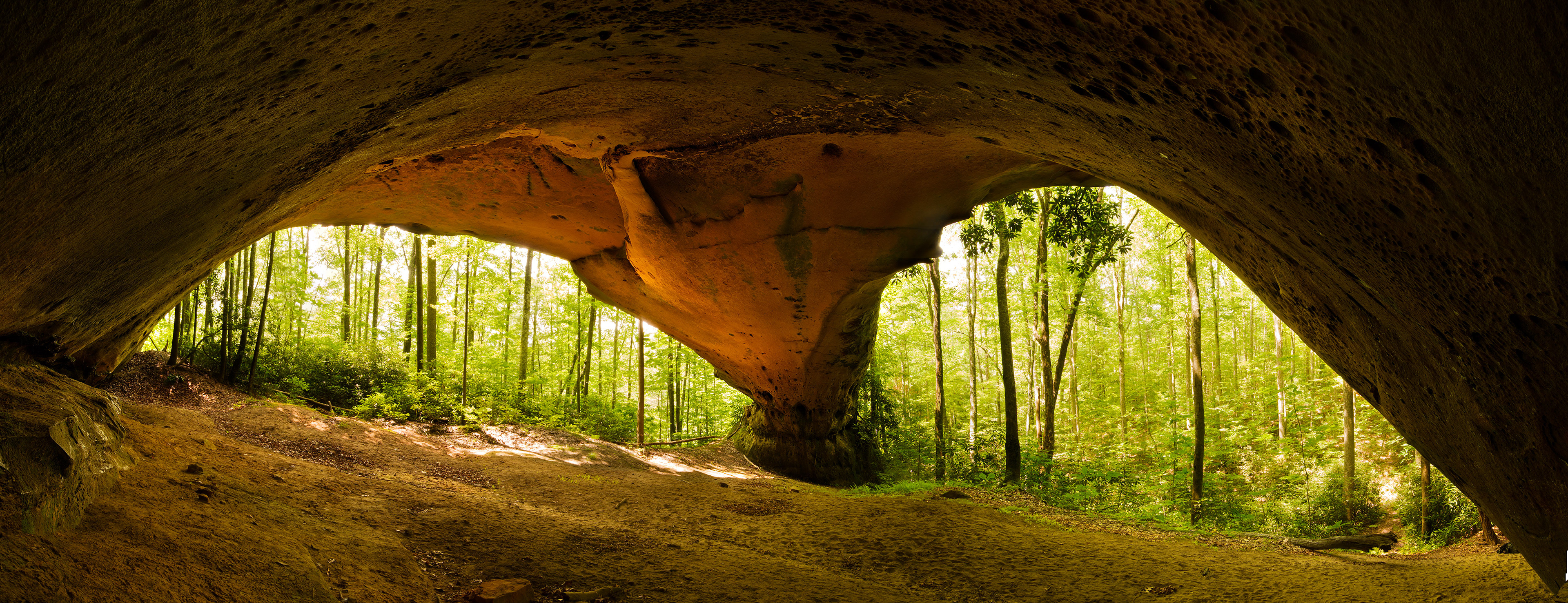 Buffalo Arch Daniel Boone National Forest