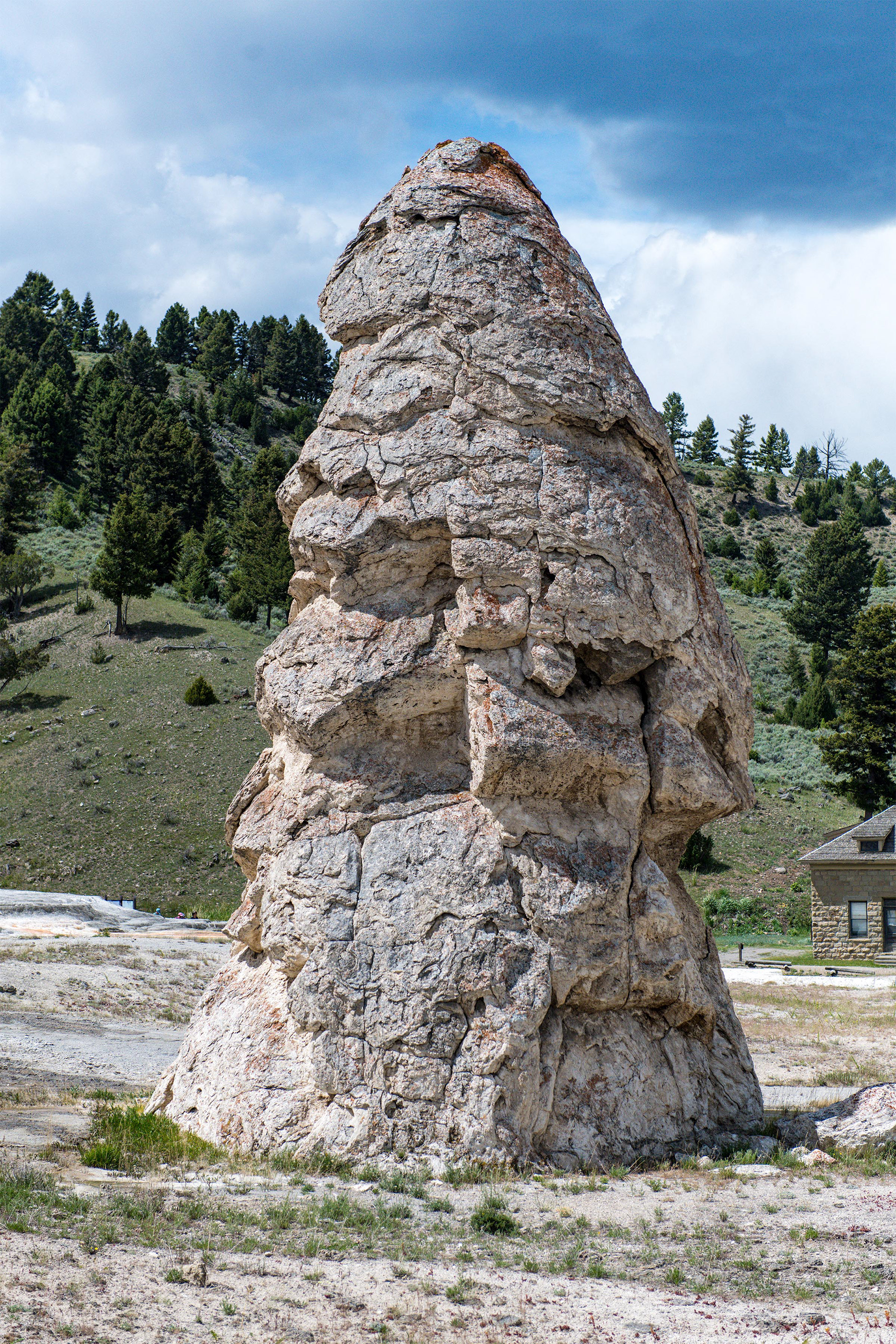 Liberty Cap