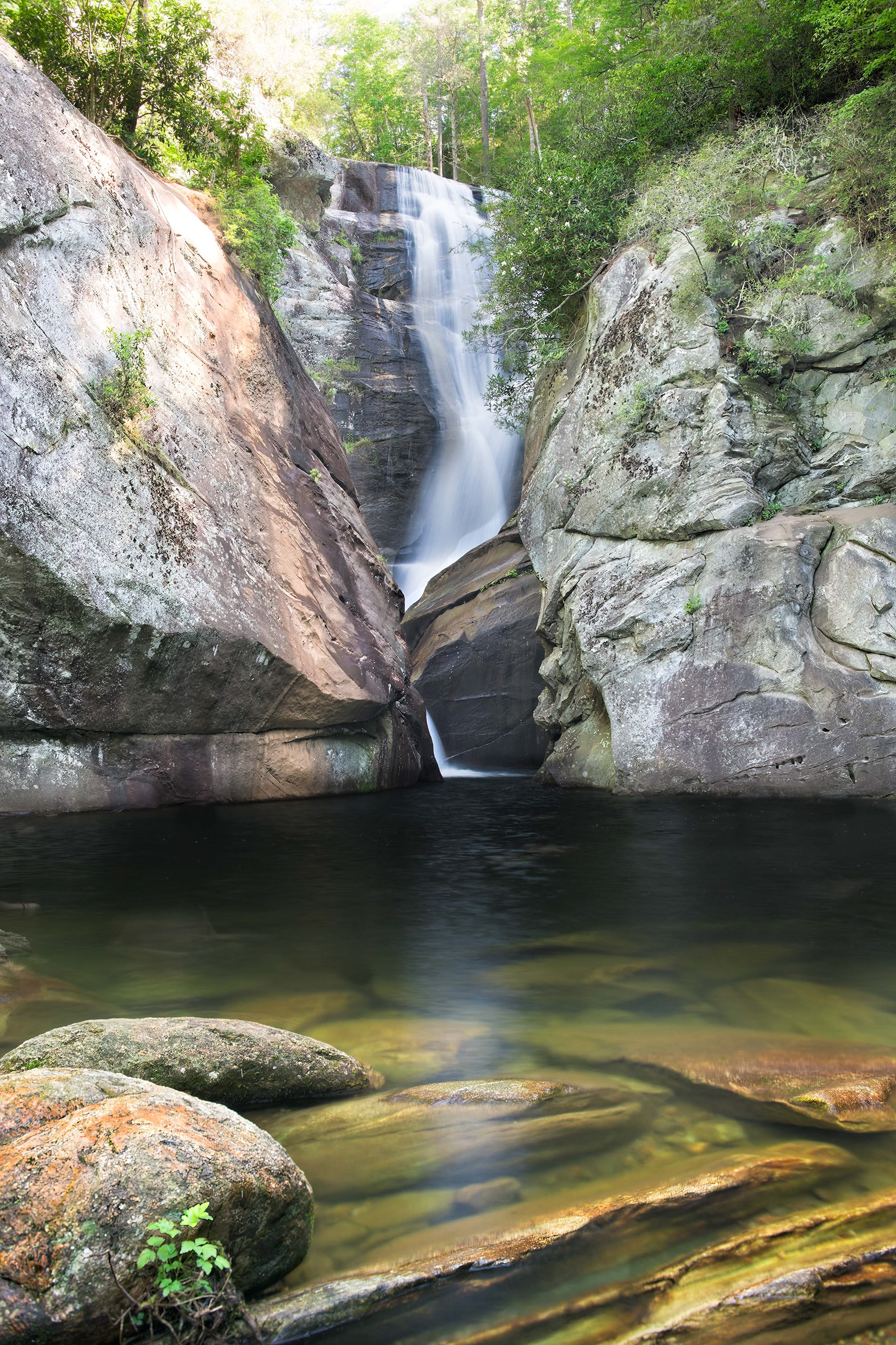 Paradise Falls, Western NC