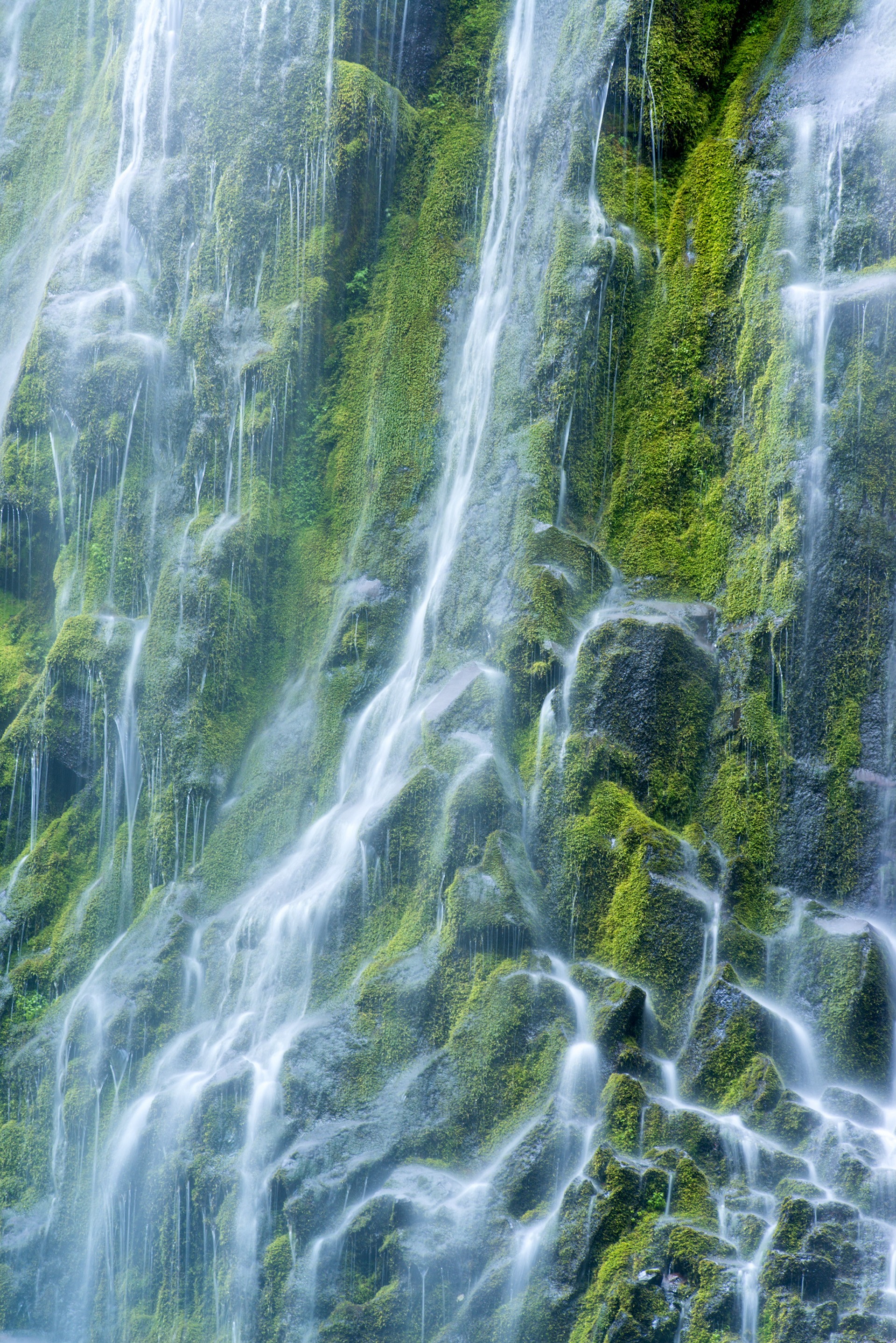 Proxy Falls, Oregon