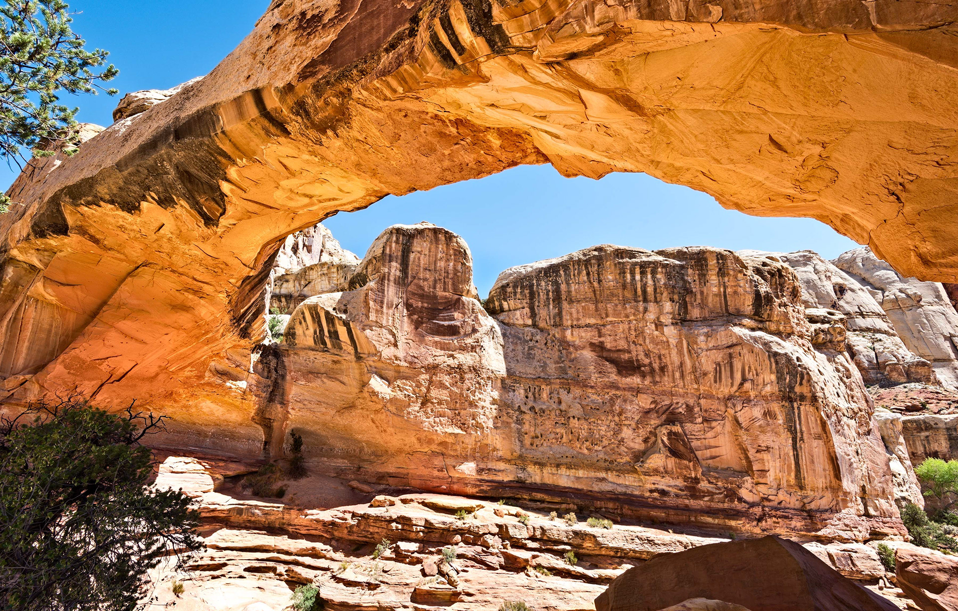 Capitol Reef - Hickman Bridge