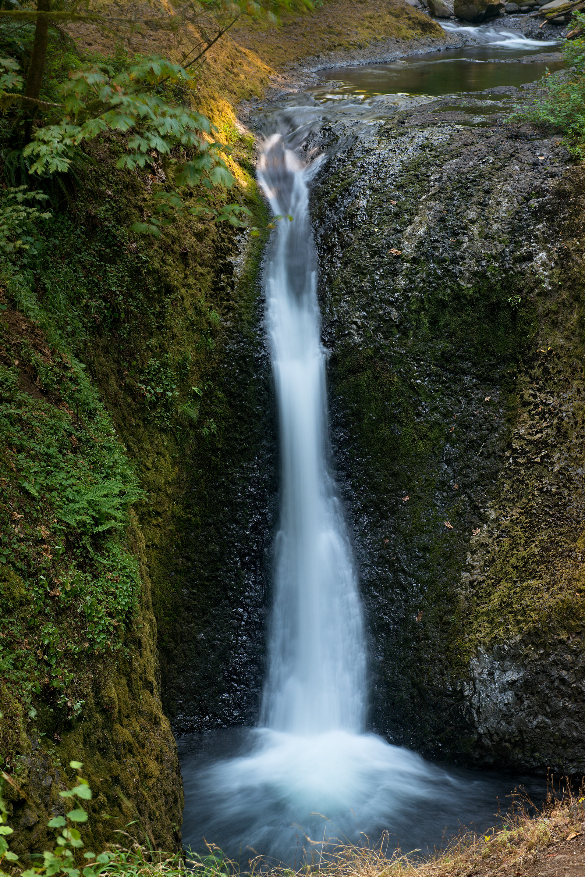 Oneontam Falls, Columbia River Gorge