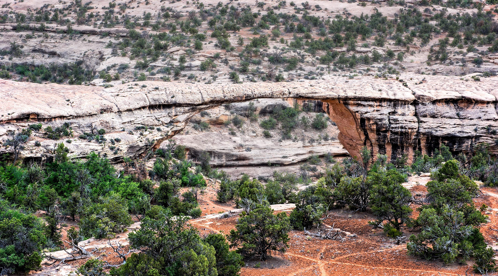 Natural Bridges NM