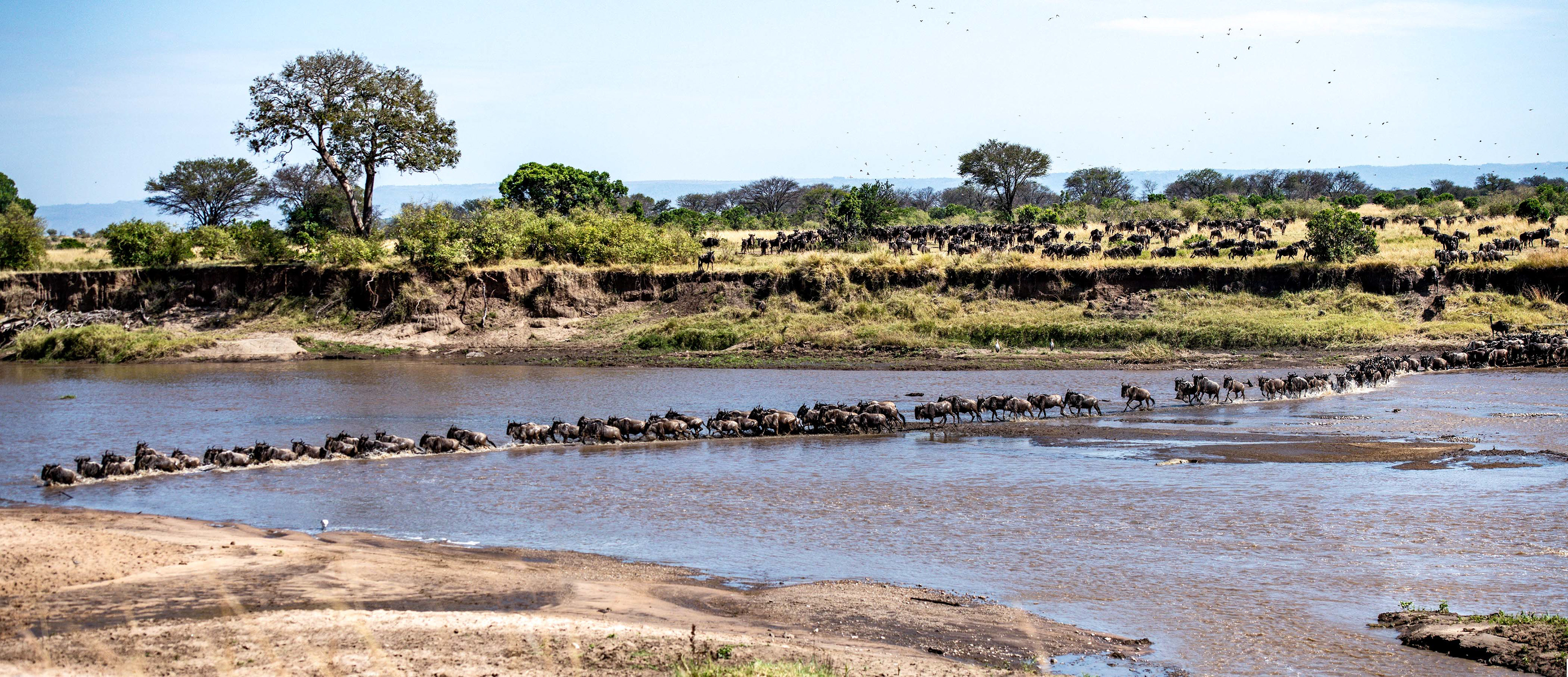 Northern Serengeti