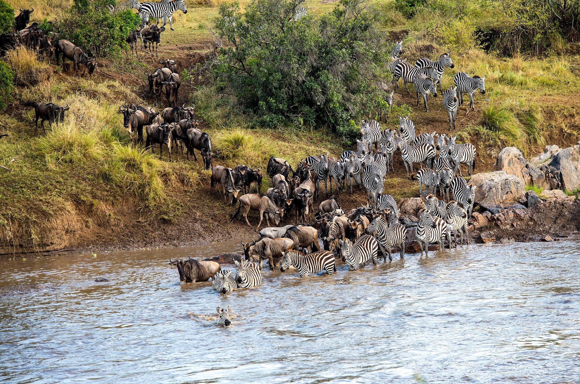 Northern Serengeti
