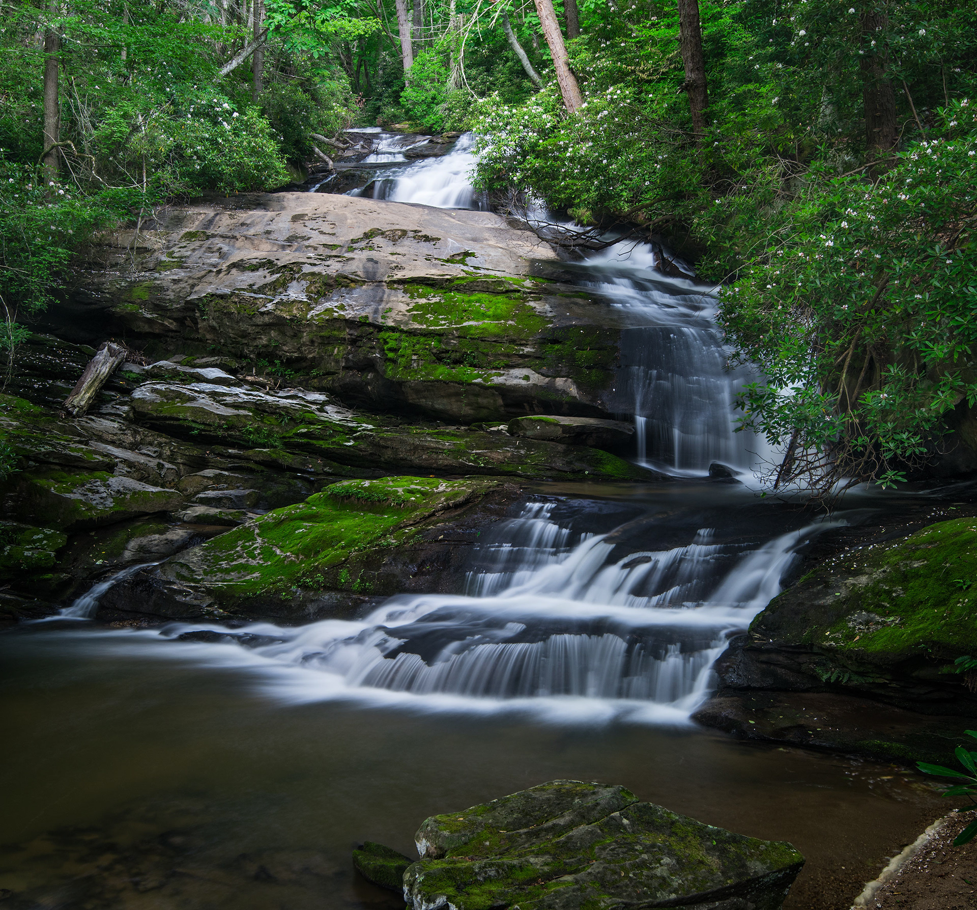 Upper Middle Creek Falls, Western NC