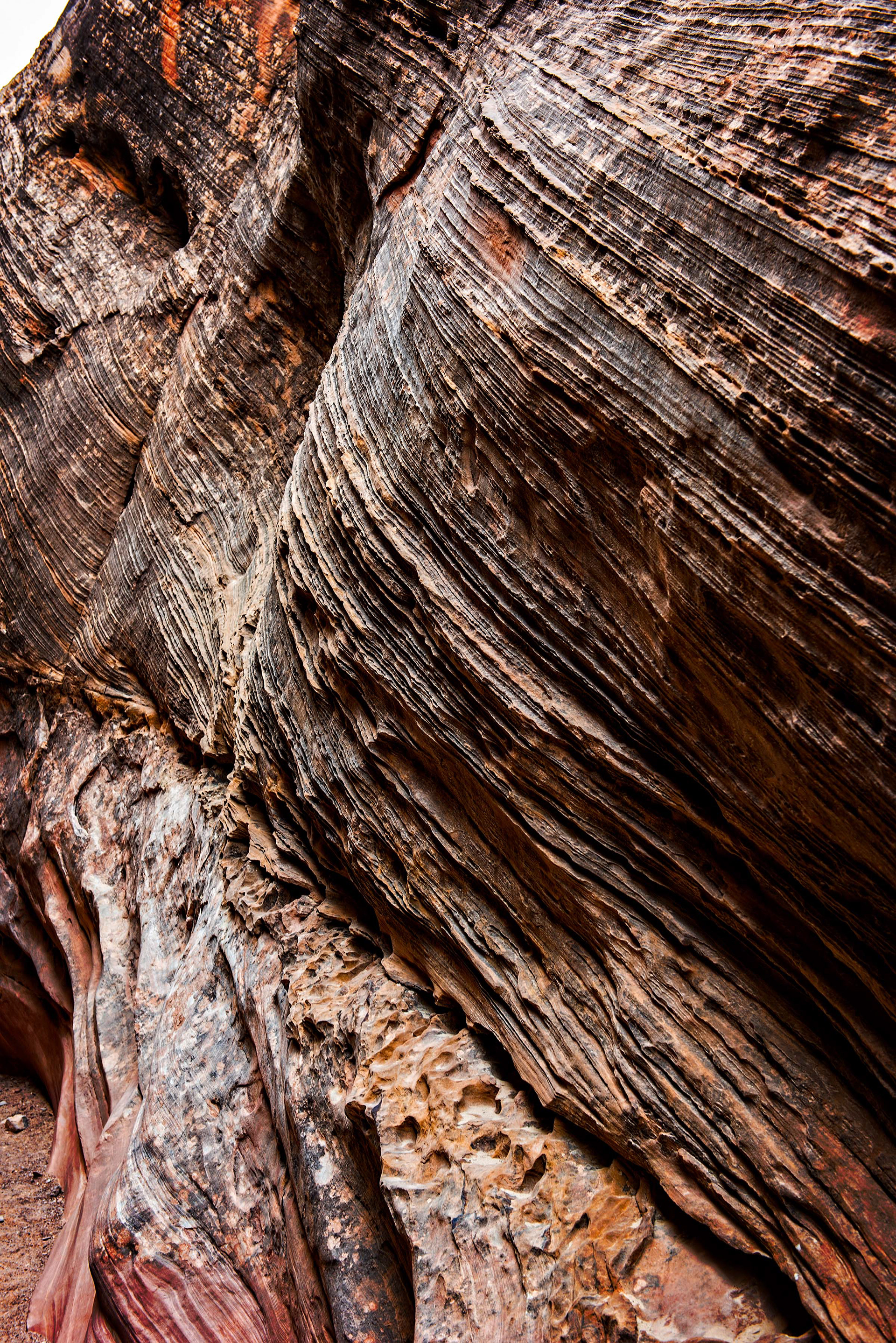 Wild Horse Slot Canyon