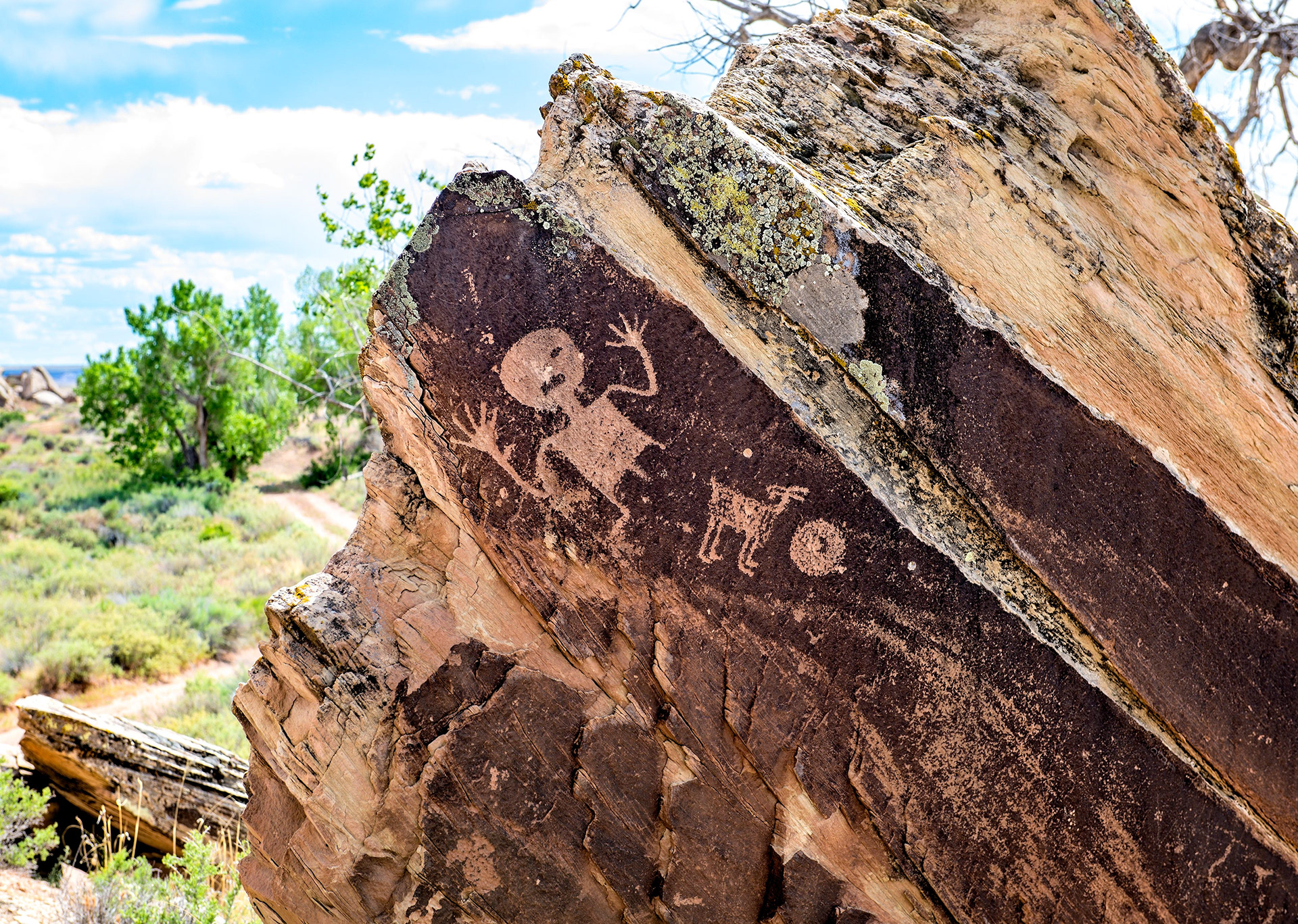 Puerco Pueblo - PFNP