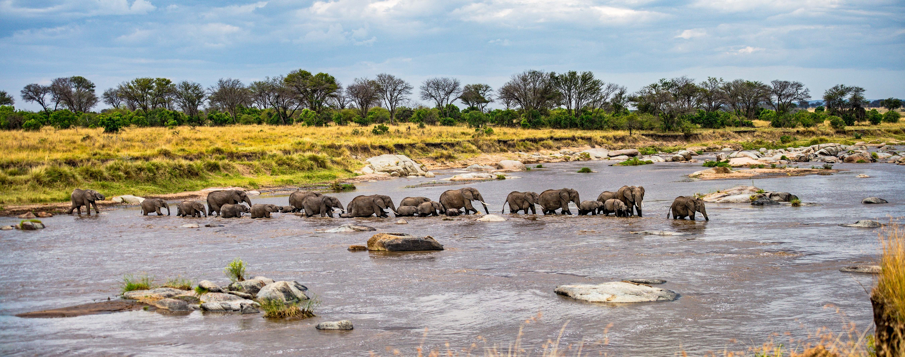 Northern Serengeti