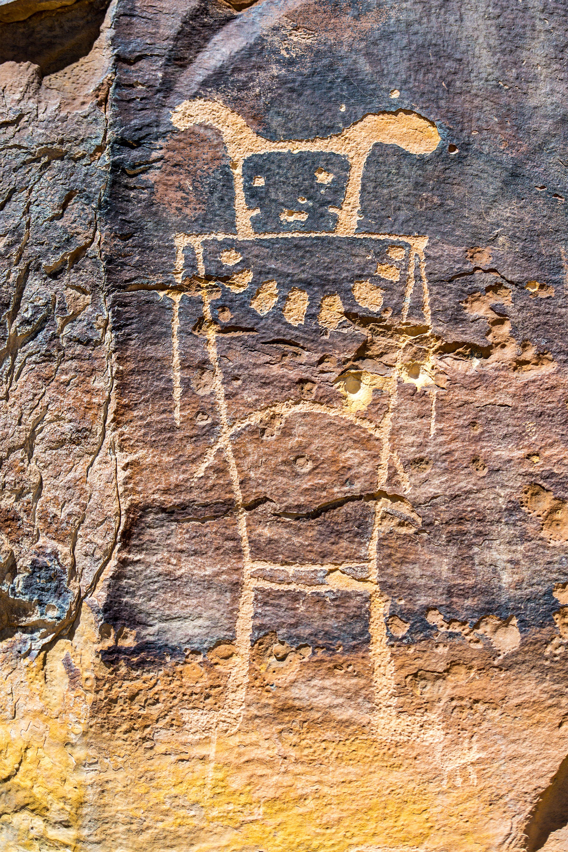Dinosaur NM