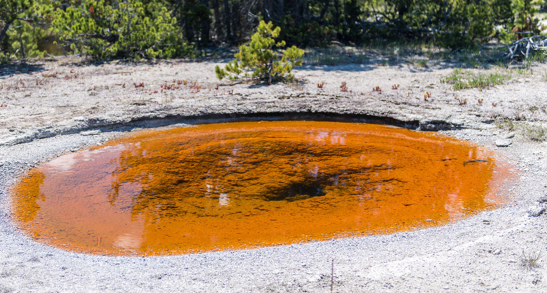 Upper Geyser Basin