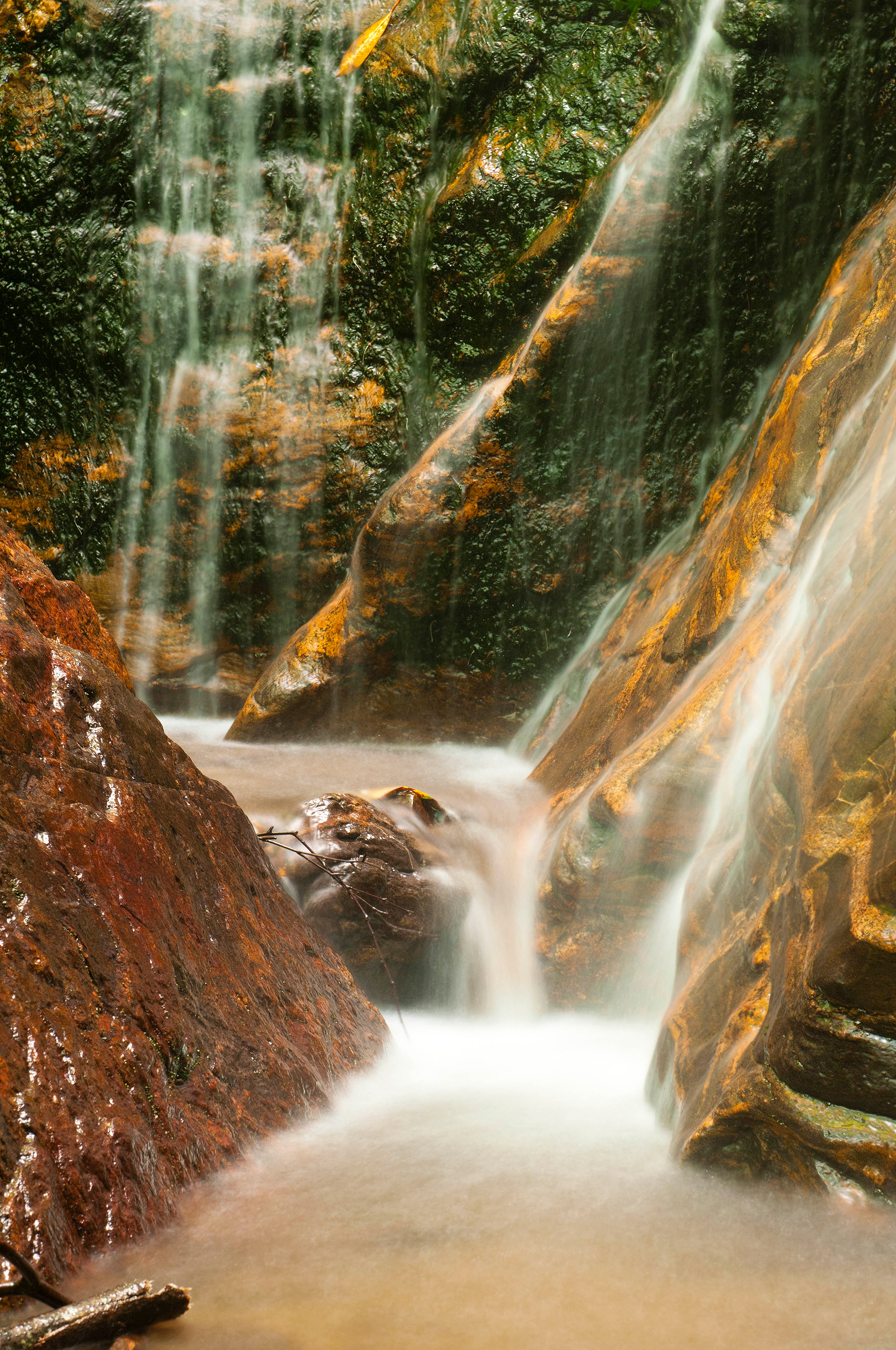 Rufus Morgan Falls, Western NC