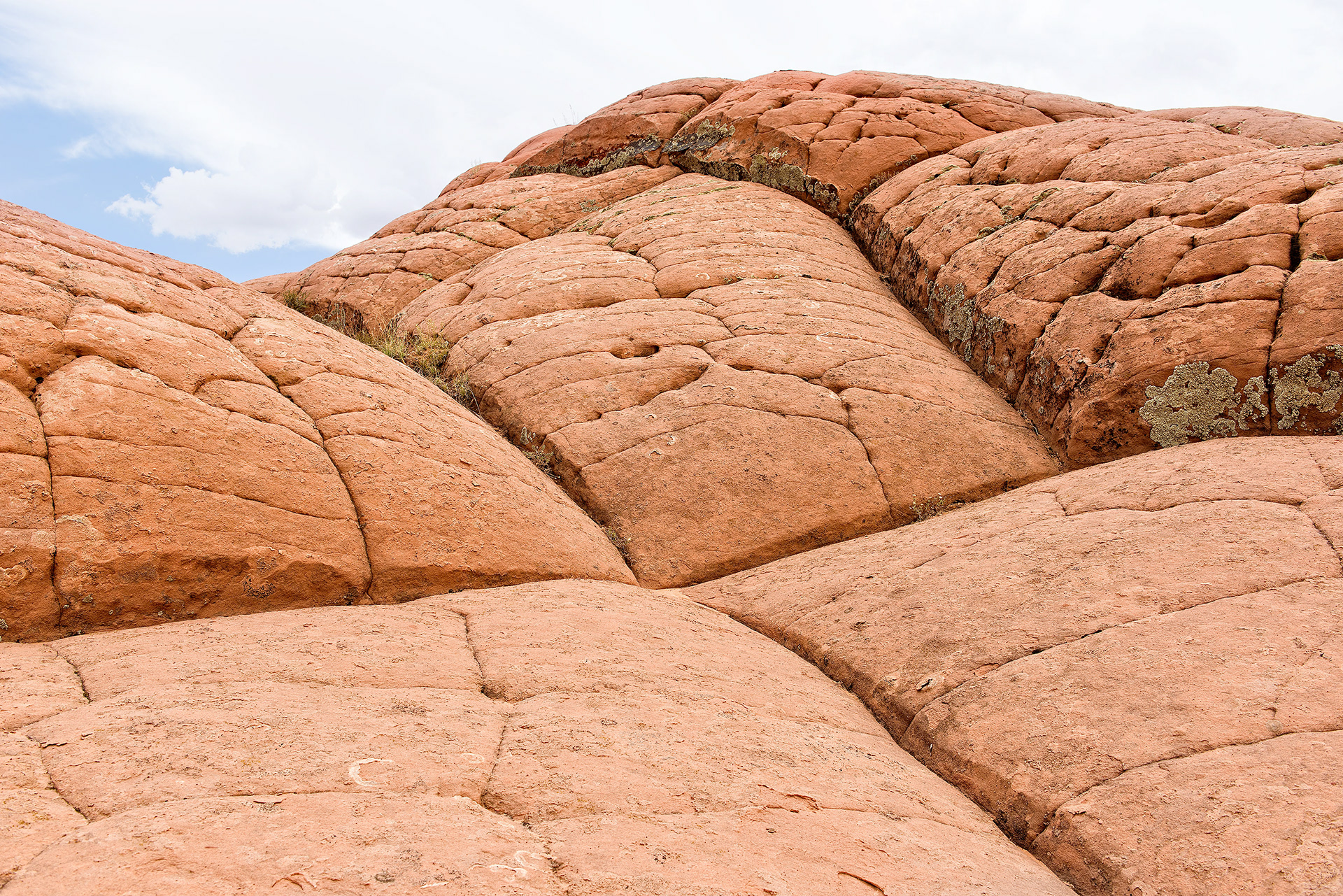 Edmaier's Secret, The Paria