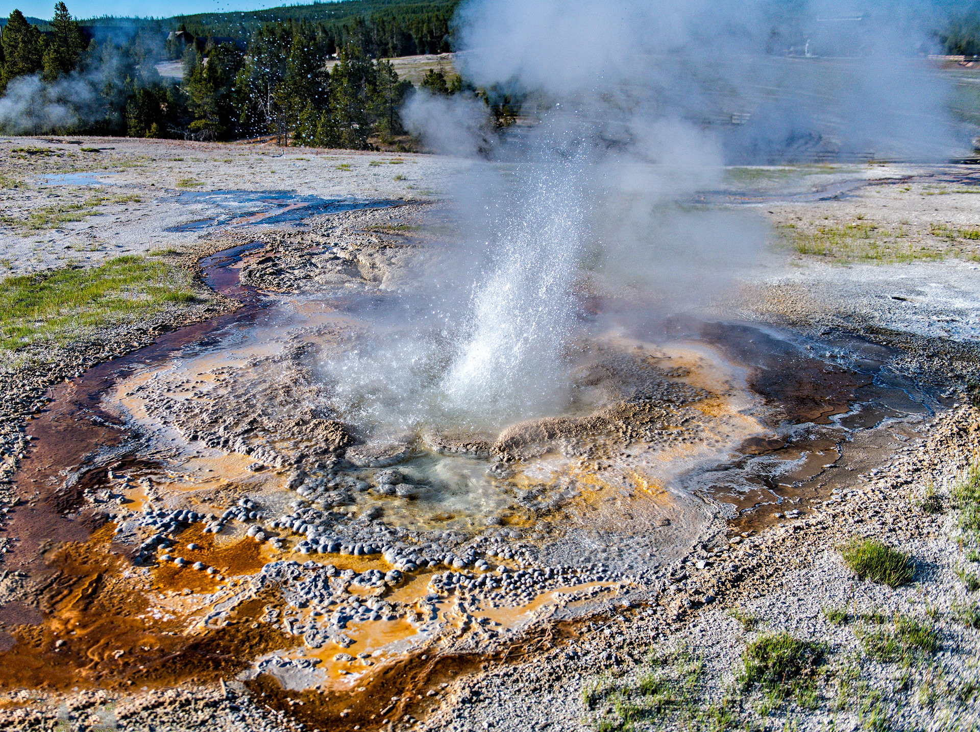 Upper Geyser Basin - Anemone Geyser