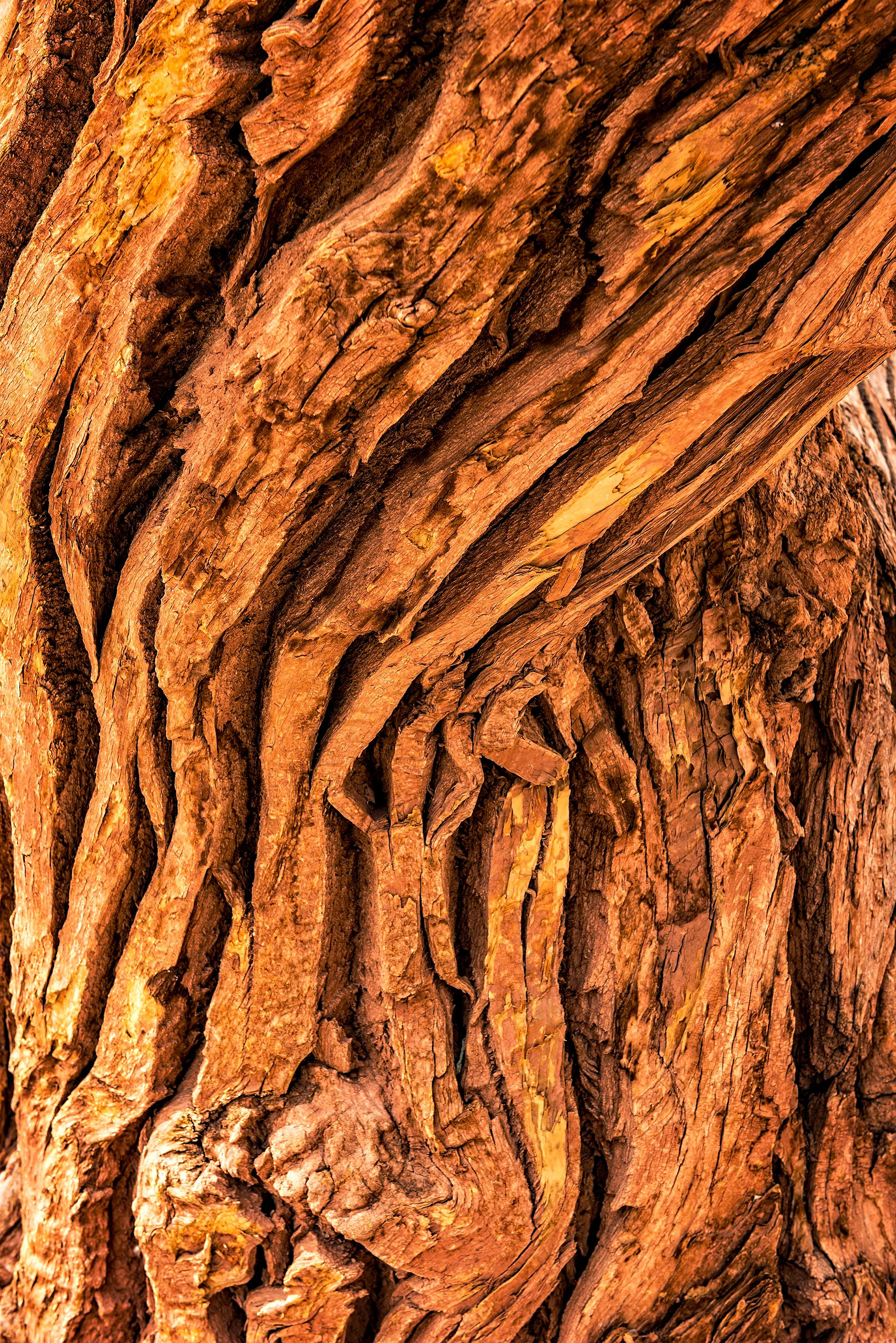 Wild Horse Slot Canyon