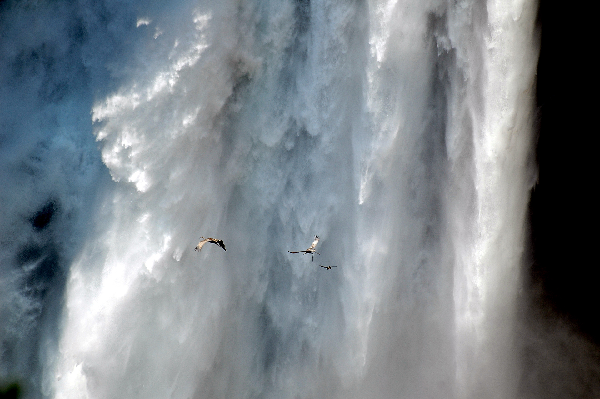 Lower Falls, Grand Canyon of Yellowstone