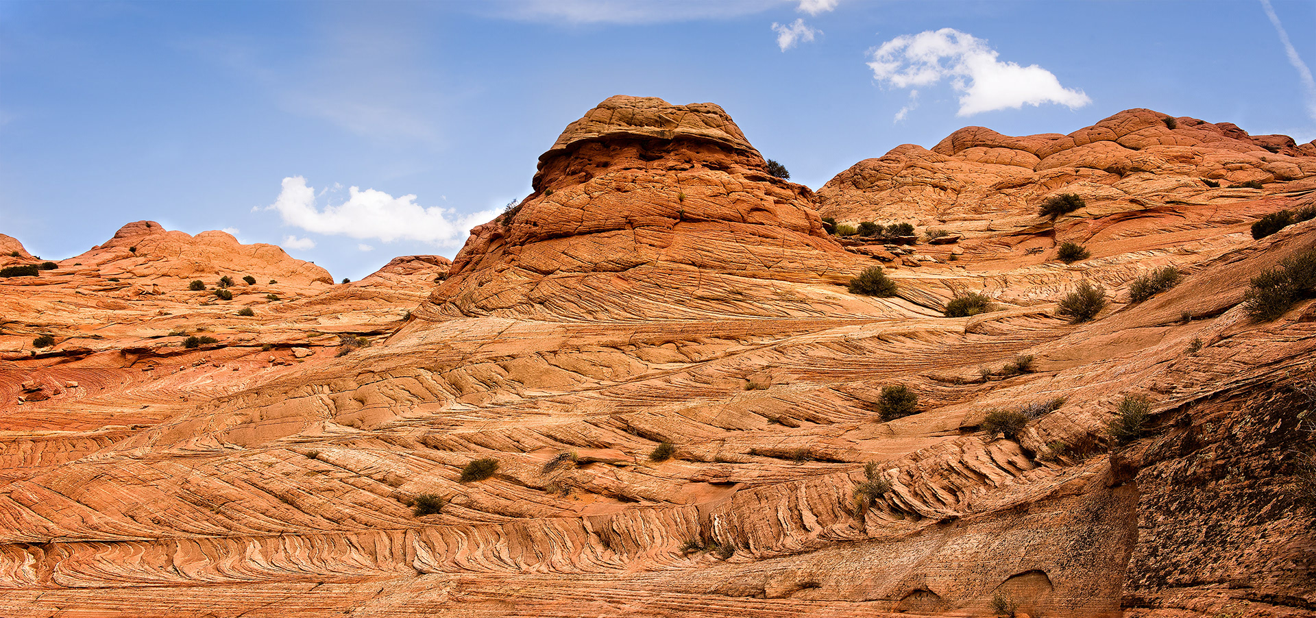 Edmaier's Secret, The Paria