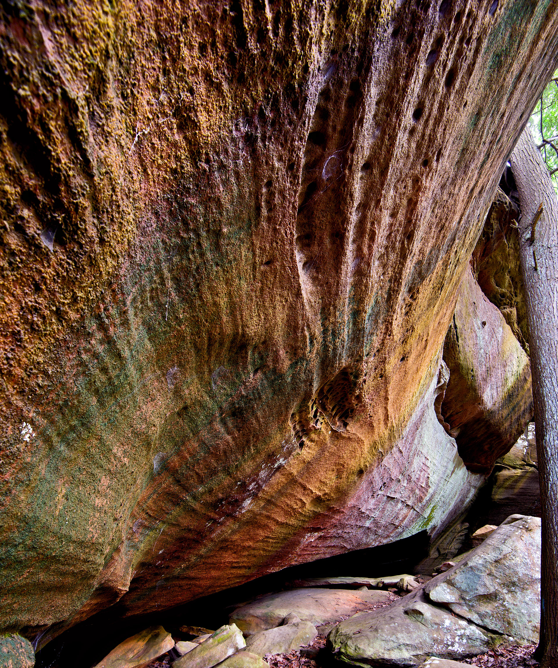On Natural Bridge Trail Pickett State Park