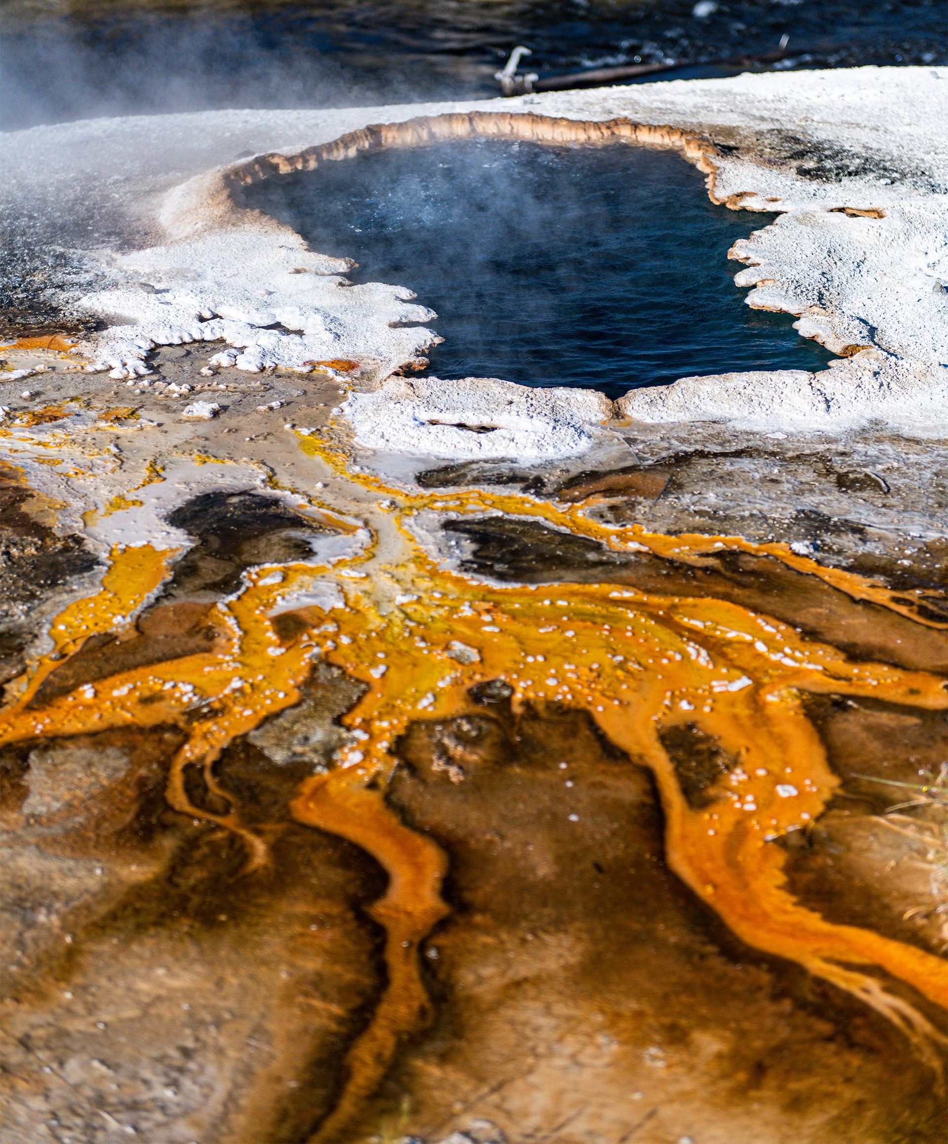 Upper Geyser Basin