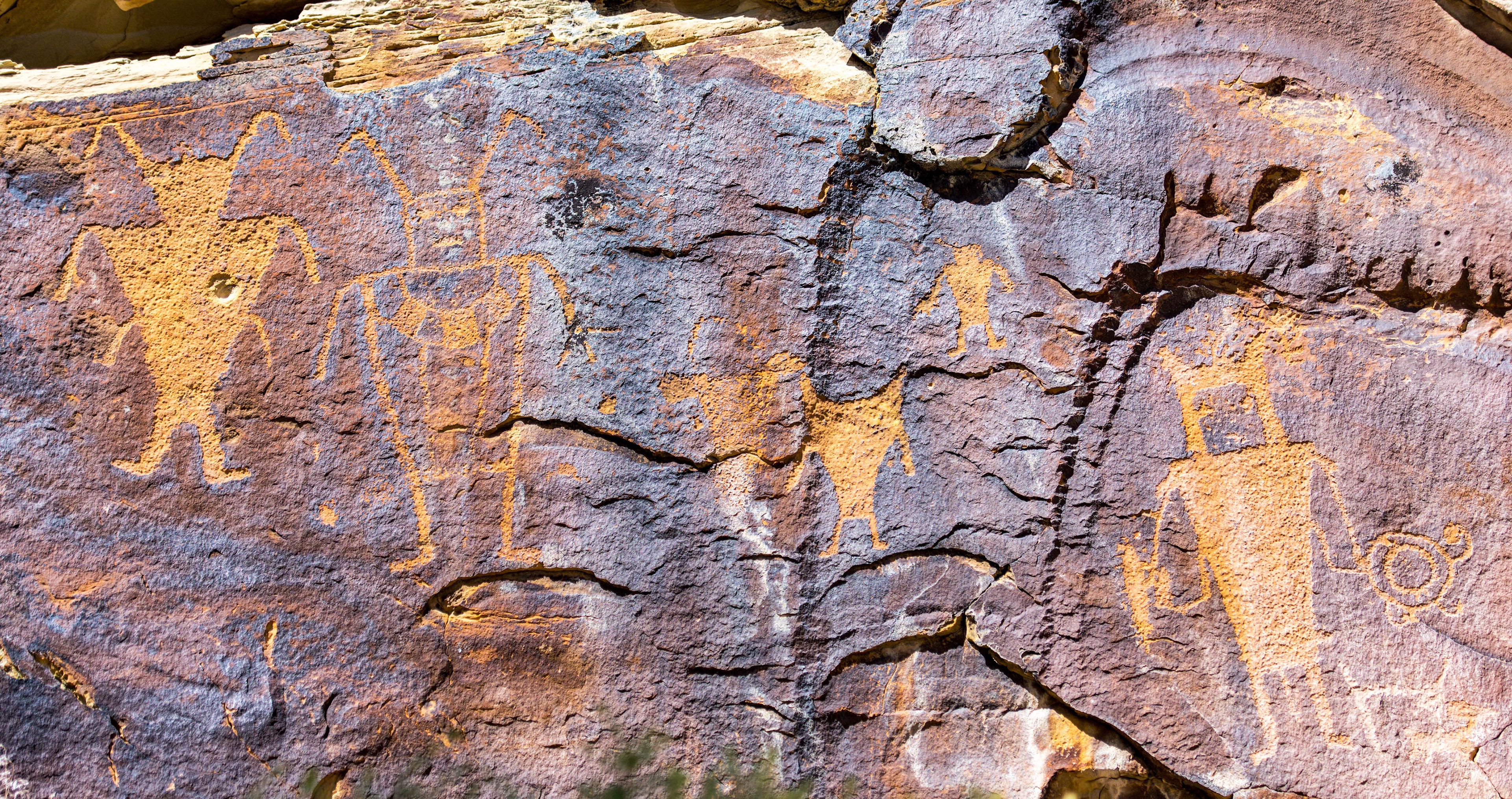 Dinosaur NM