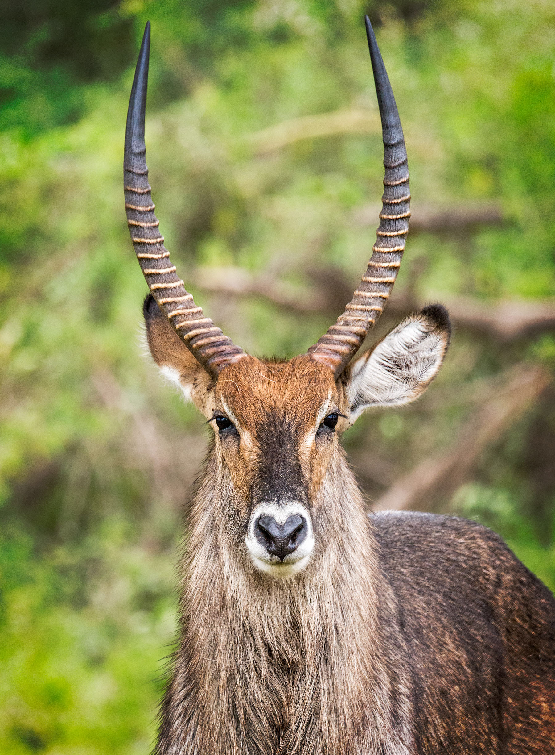 Ngorongoro Crater, Tanzania