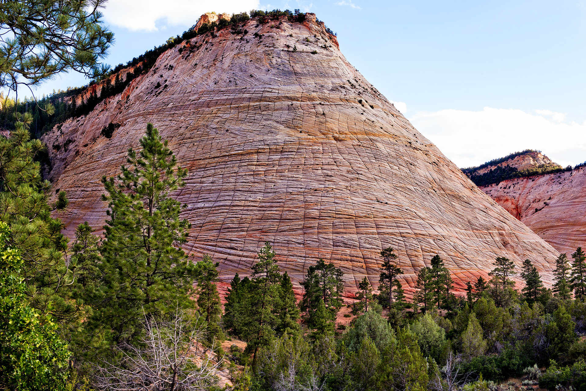 Checkerboard Mesa