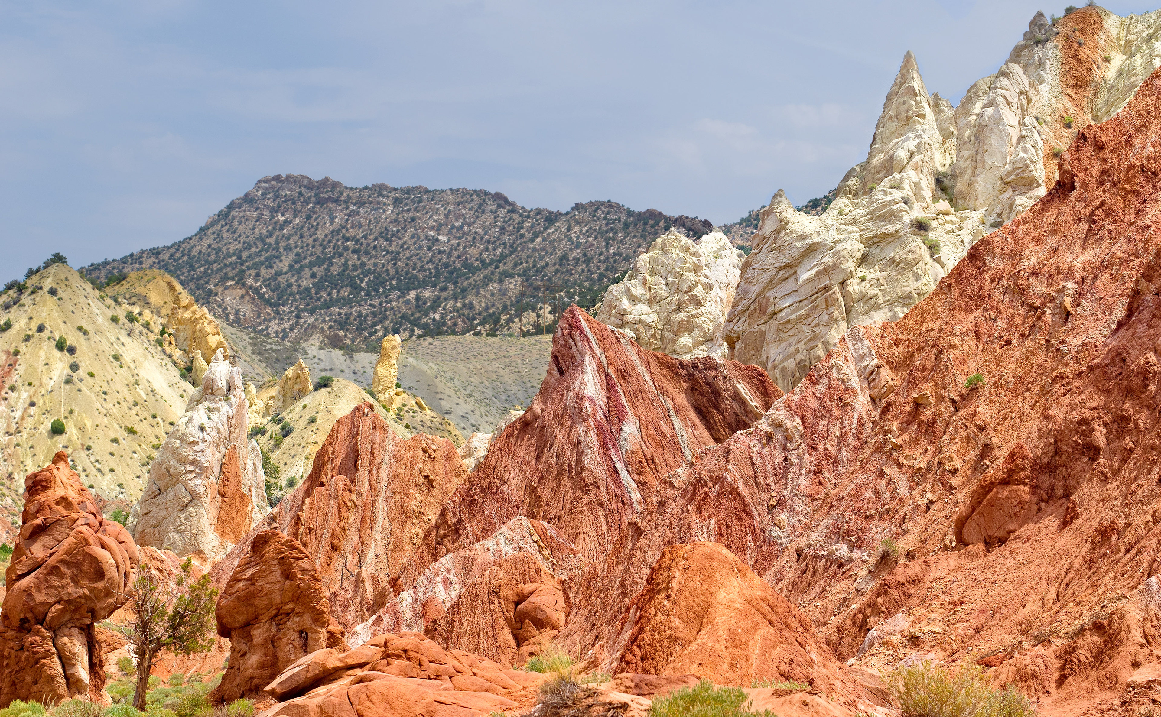 Candyland, The Paria