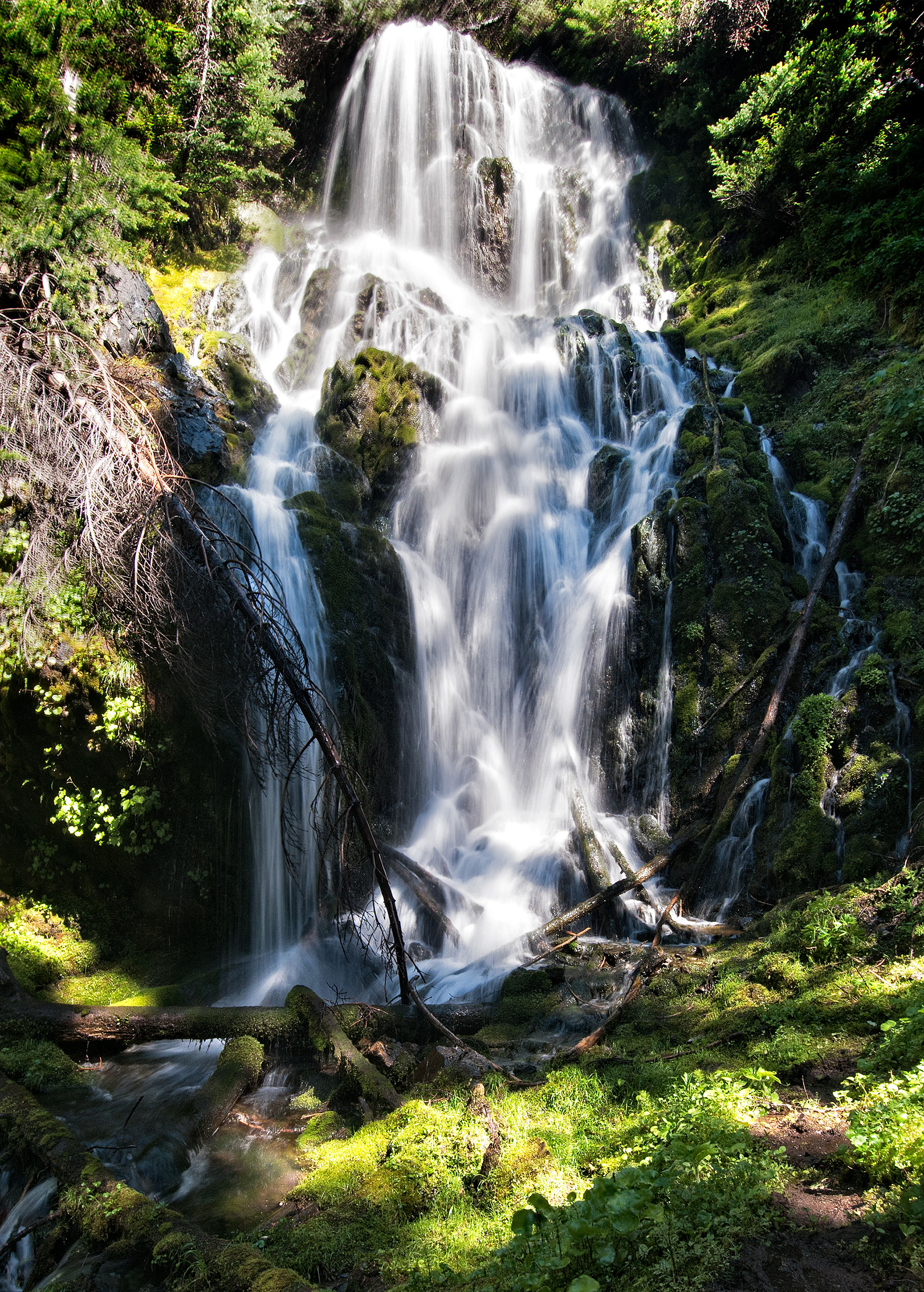 Falls at PJ Lake, Olympic NP