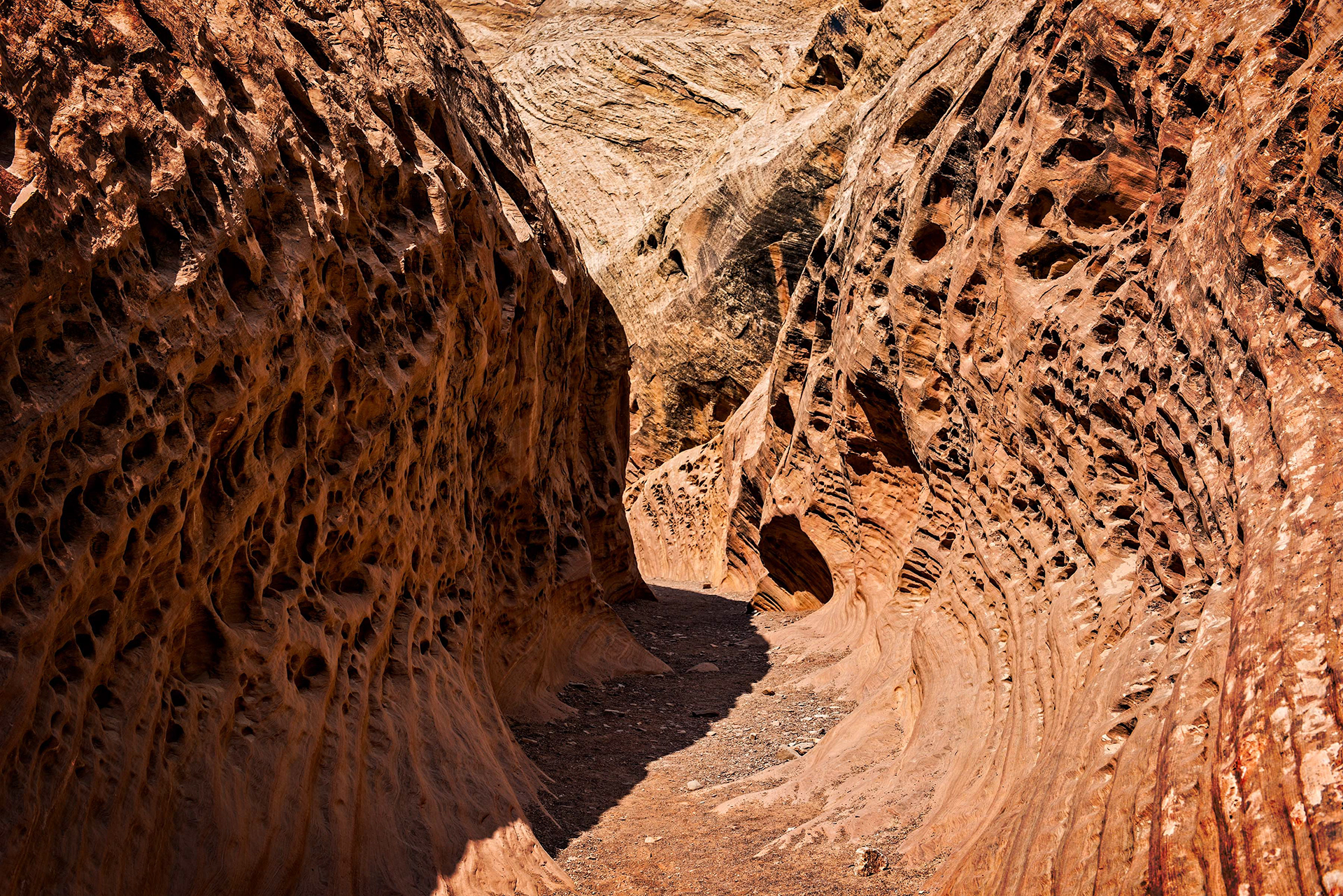 Wild Horse Slot Canyon