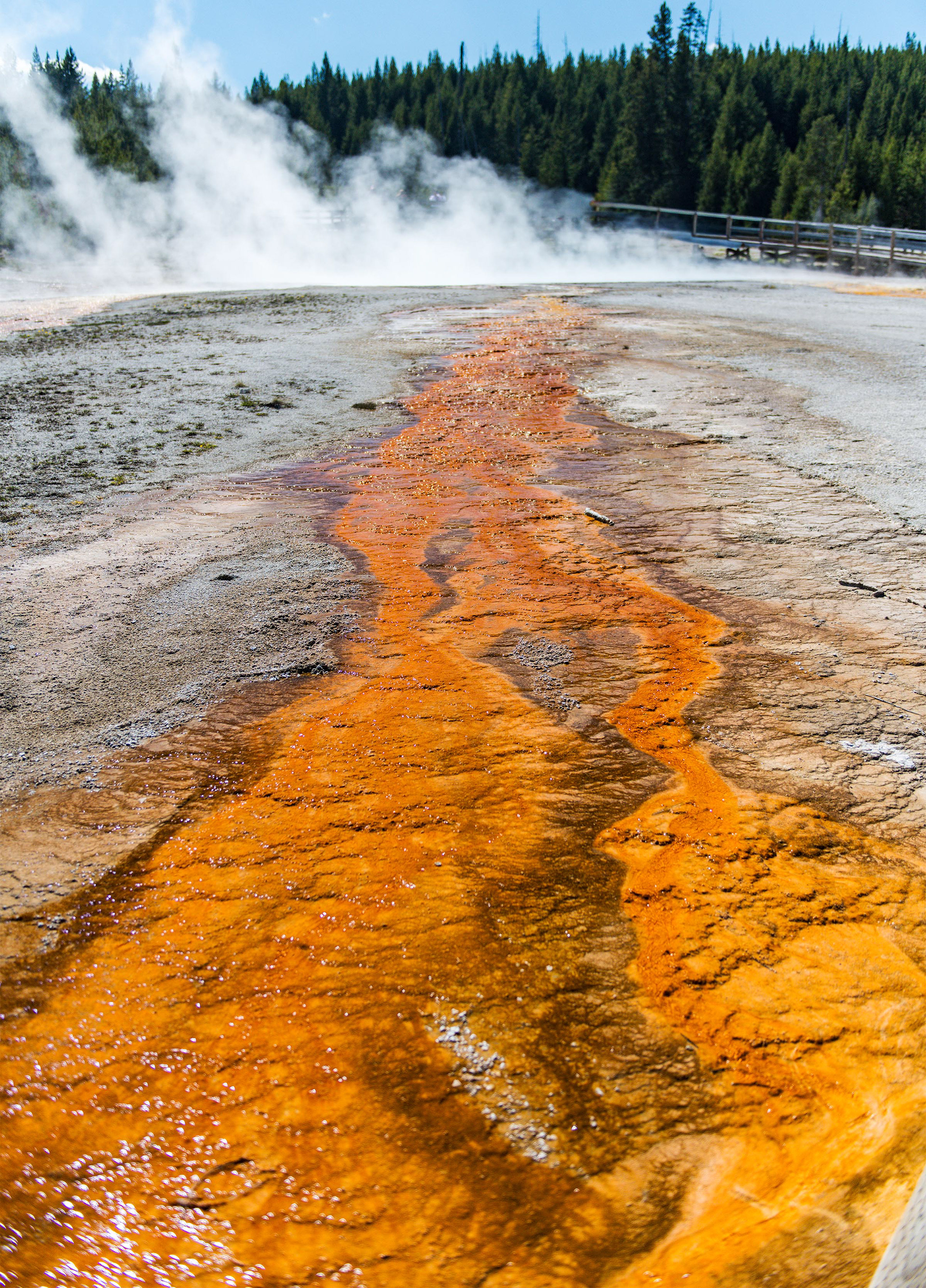 West Thumb Geyser Basin