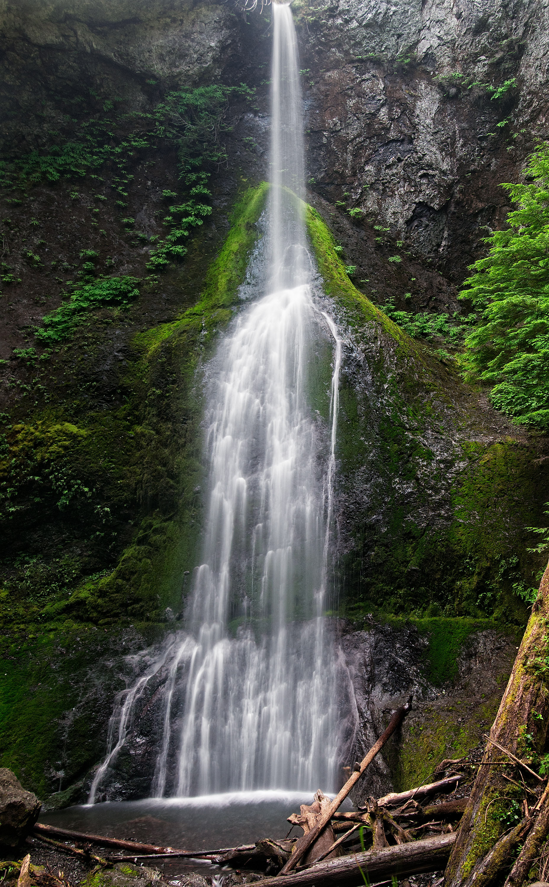Marymere Falls, Olympic NP