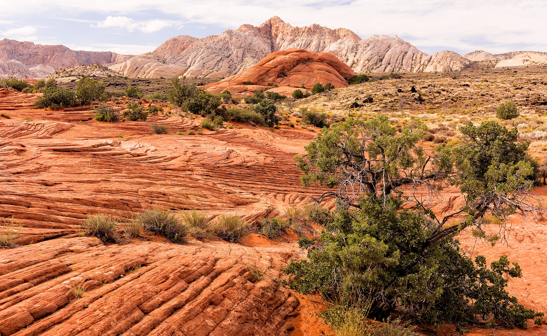 Snow Canyon State Park