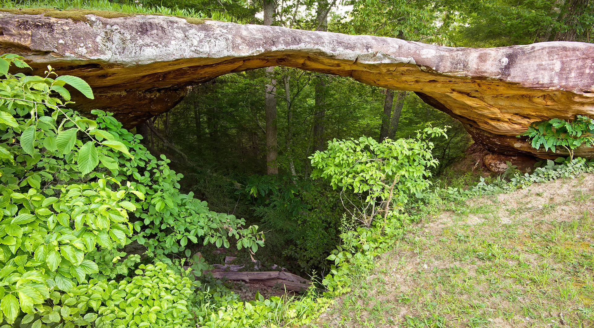 Wagon Arch Big South Fork