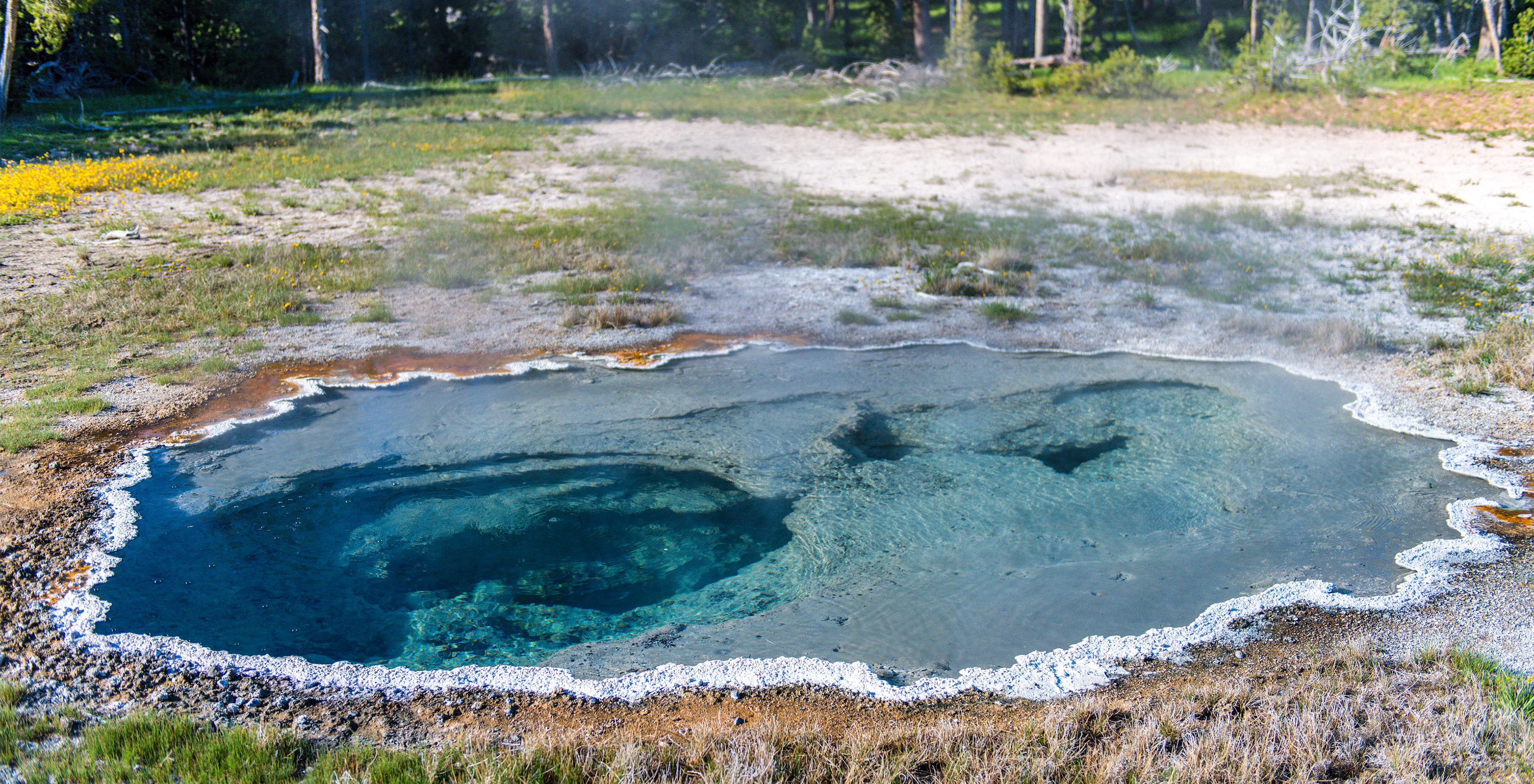 Upper Geyser Basin