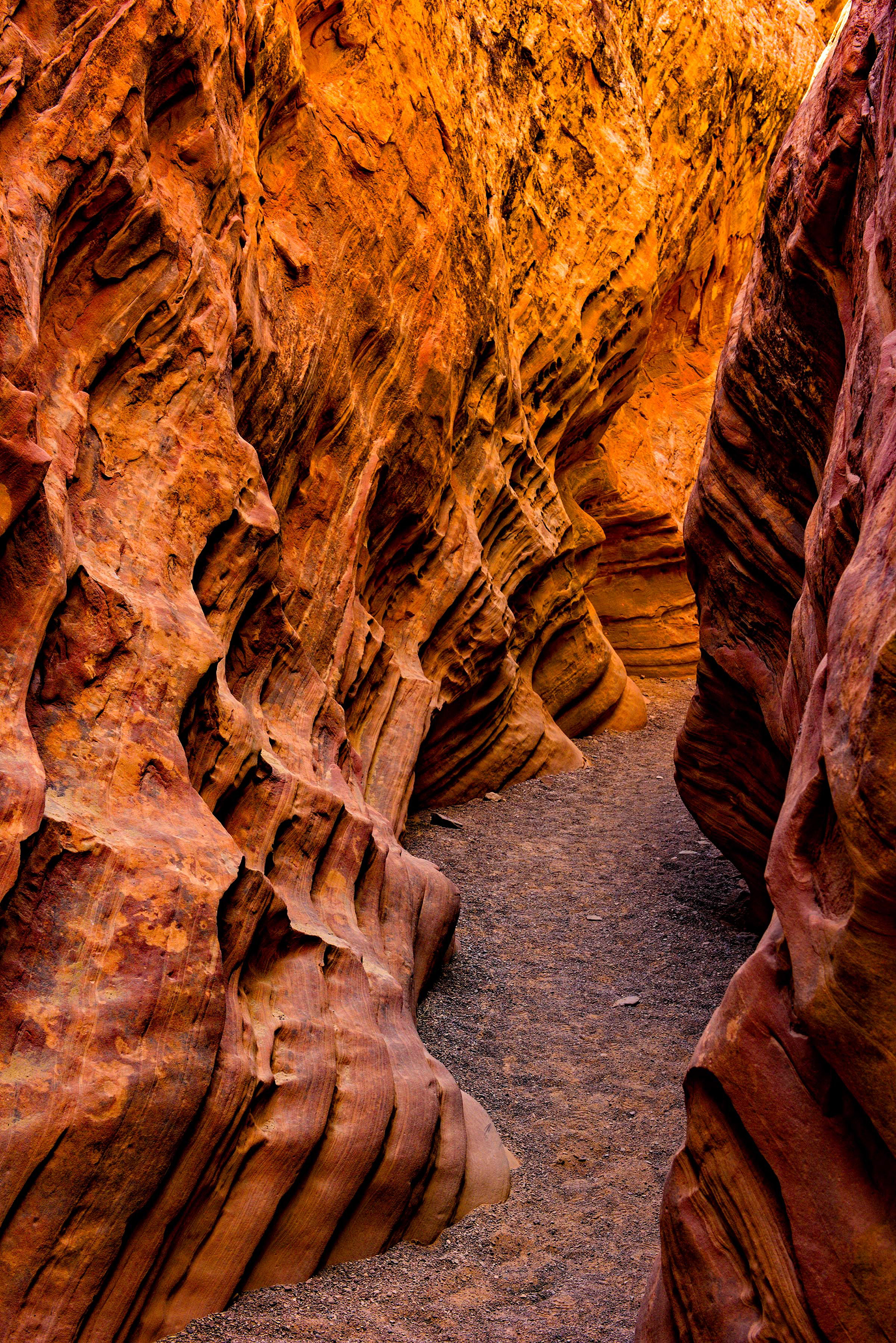 Wild Horse Slot Canyon
