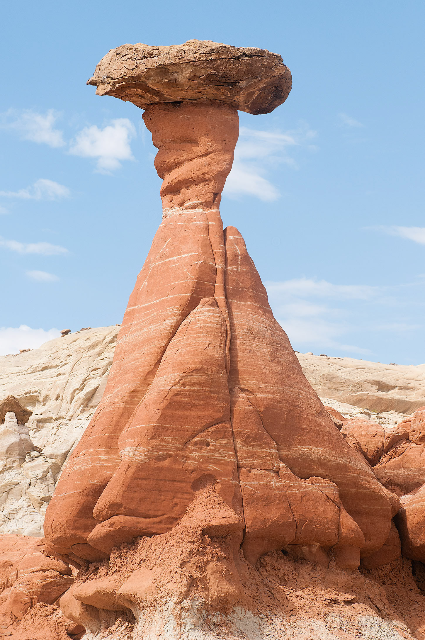 The Toadstools, The Paria