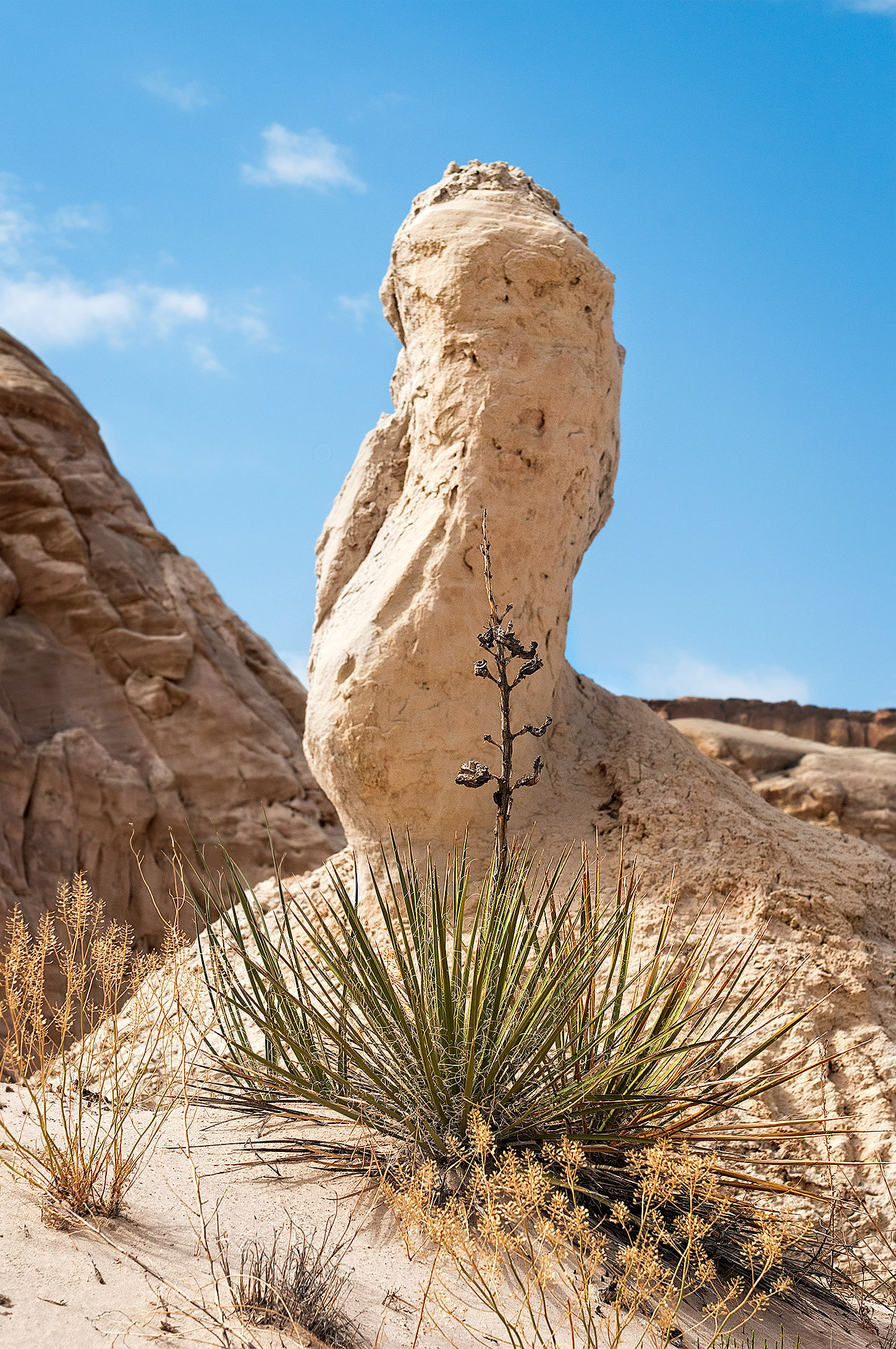The Toadstools, The Paria