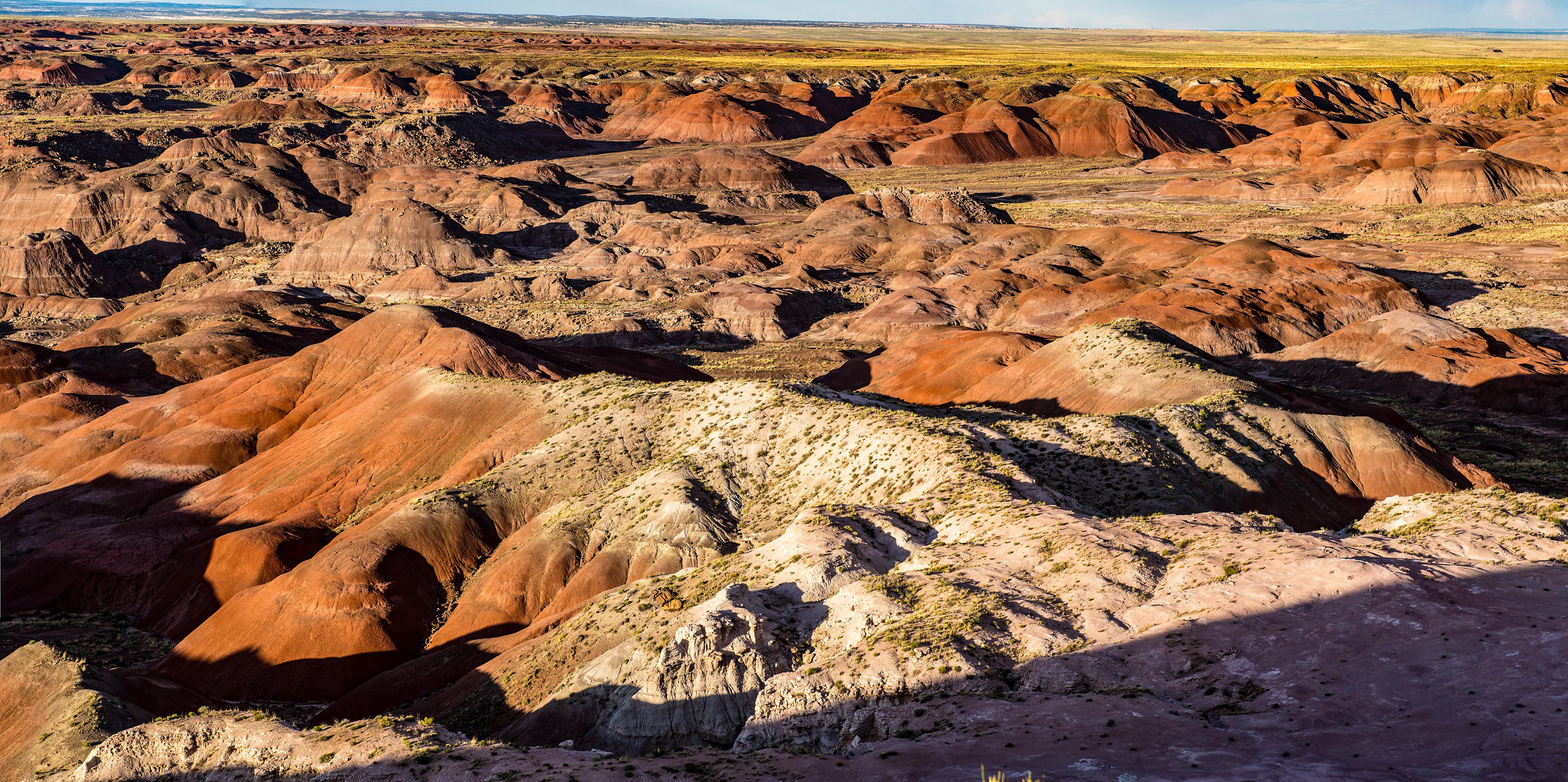 Painted Desert