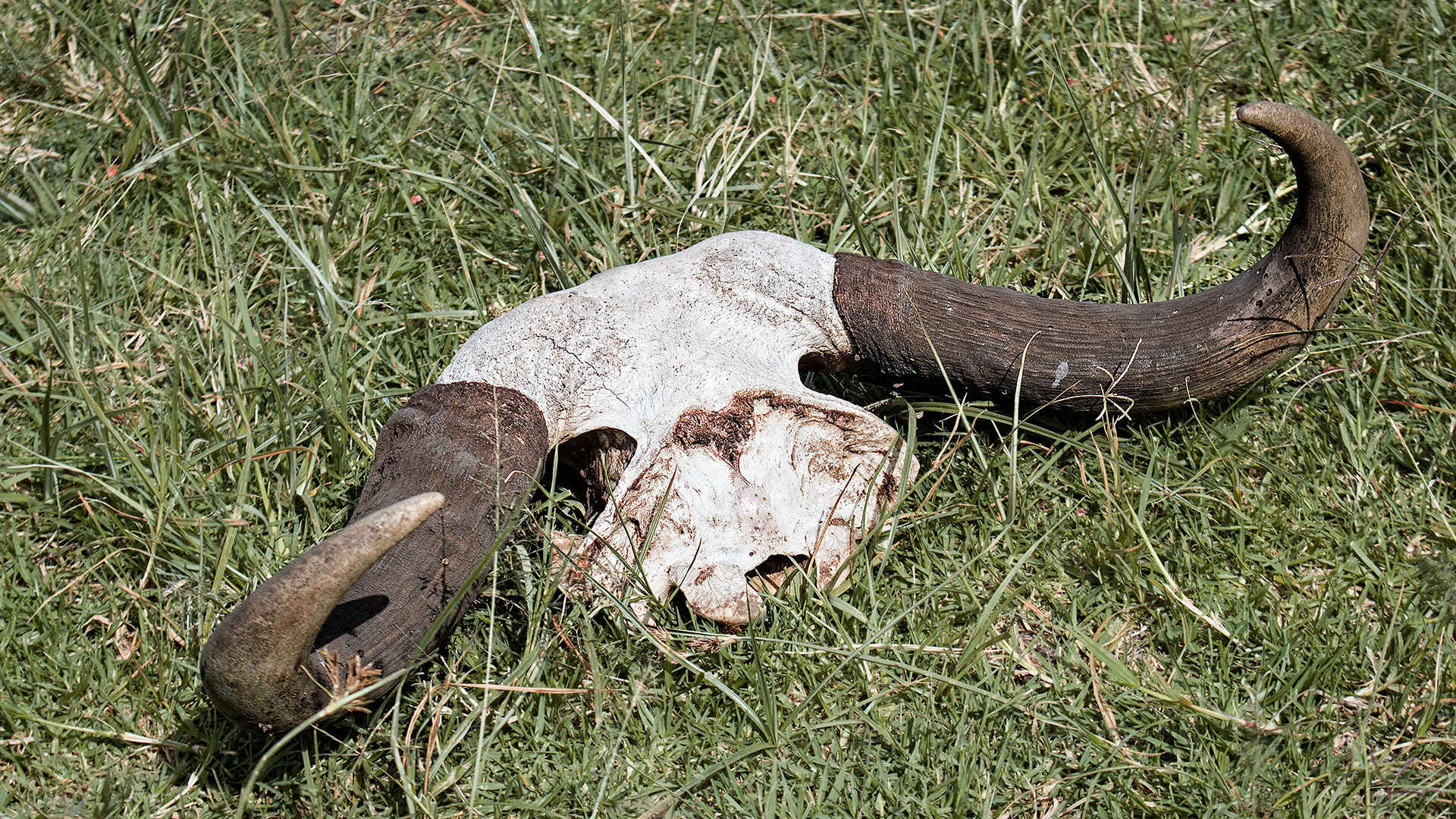 Ngorongoro Crater, Tanzania