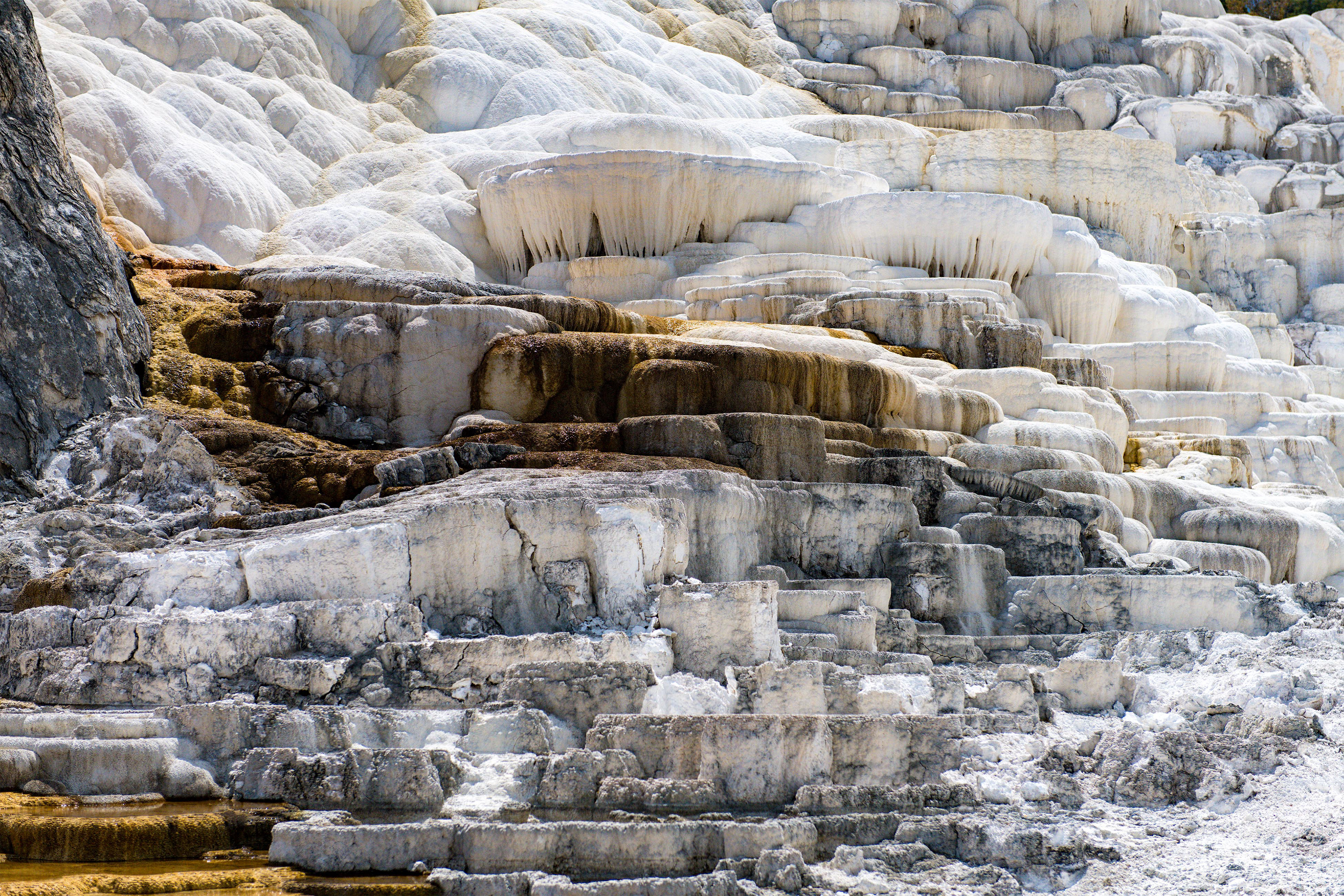 Mammoth Hot Spring - Lower Terrace