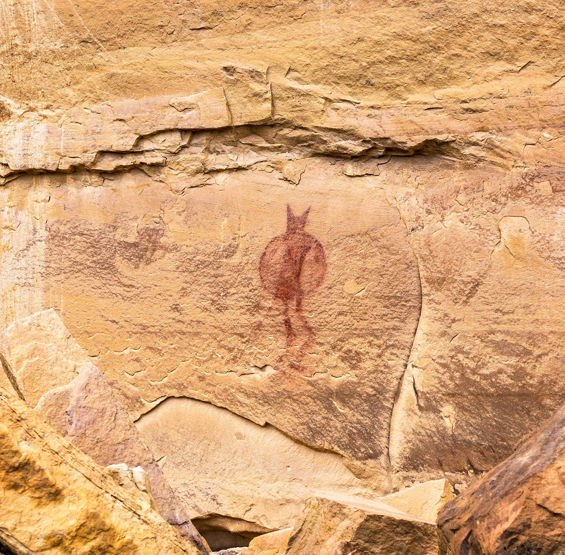 San Rafael Swell - Lone Warrior