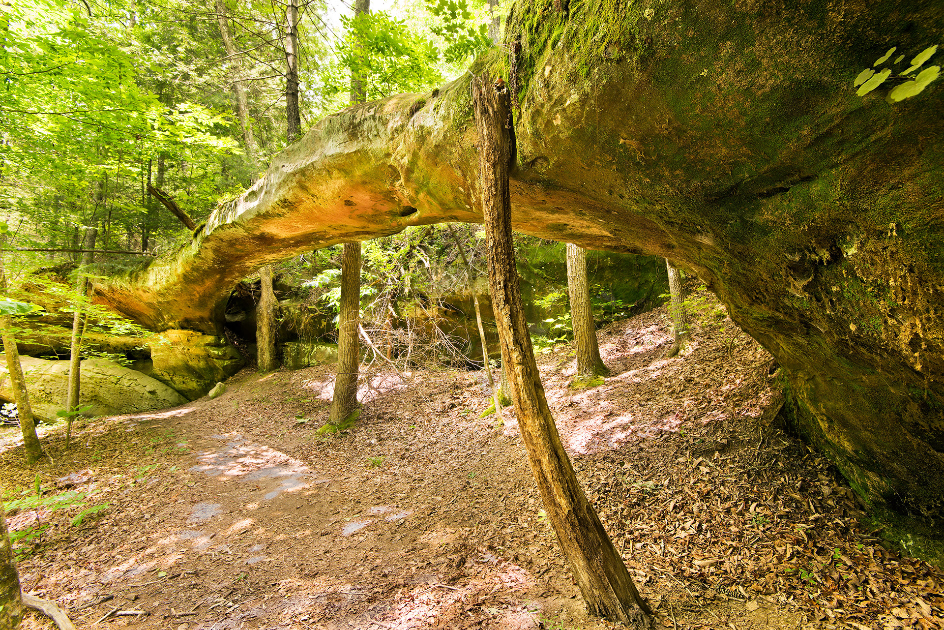 Needle Arch Big South Fork