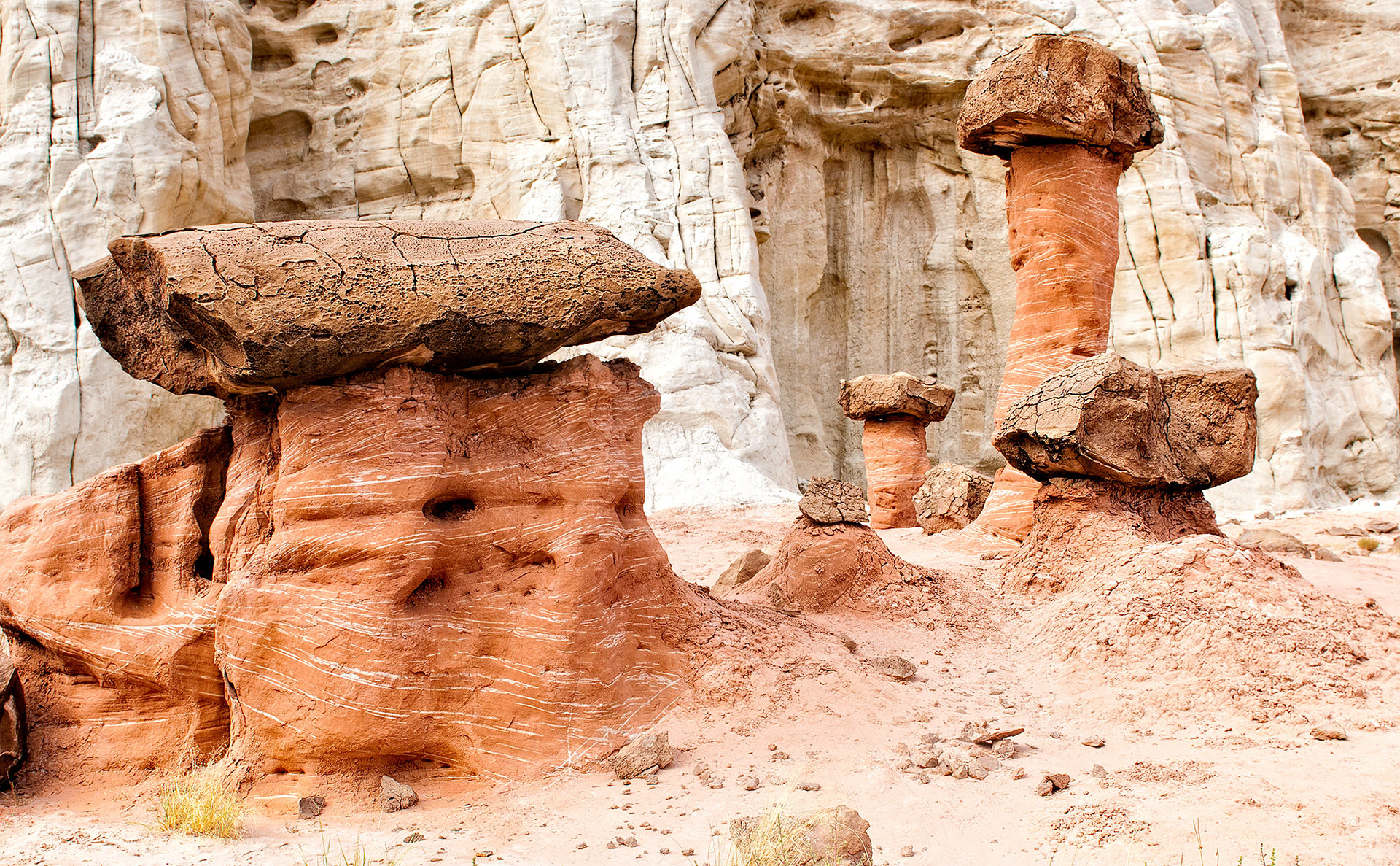 The Toadstools, The Paria