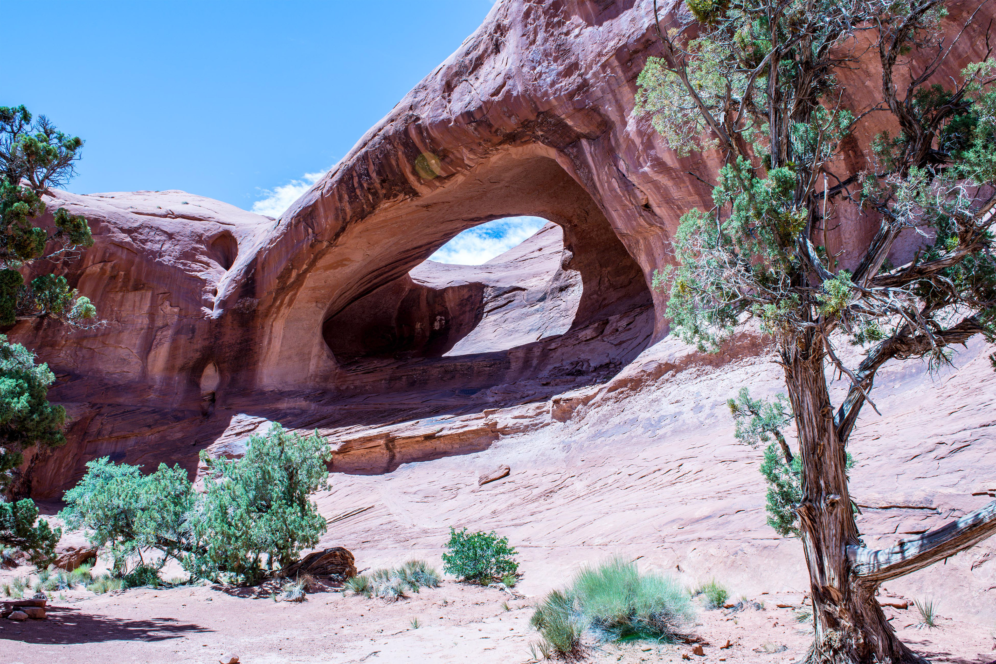 Mystery Valley Stout Arch