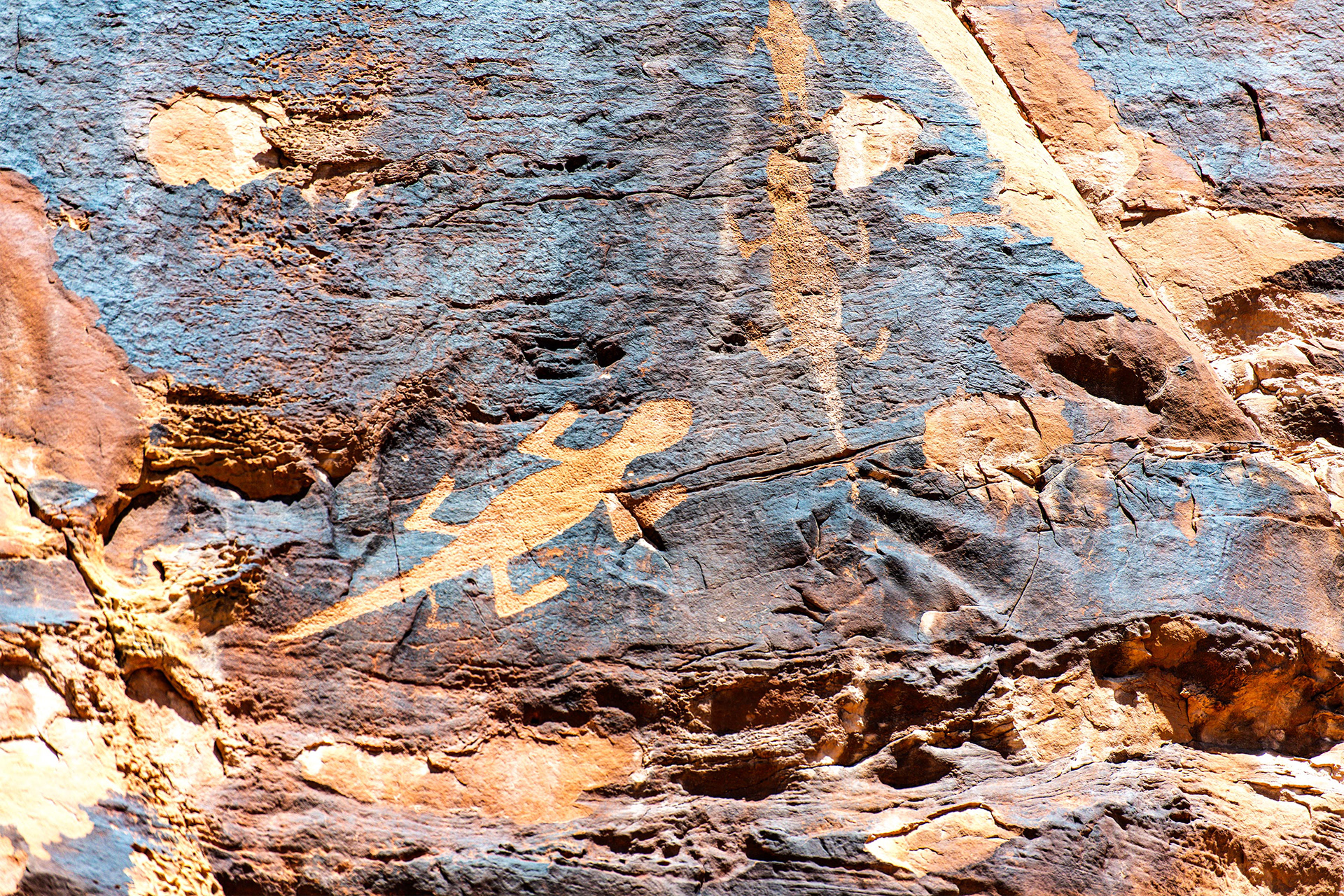Dinosaur NM