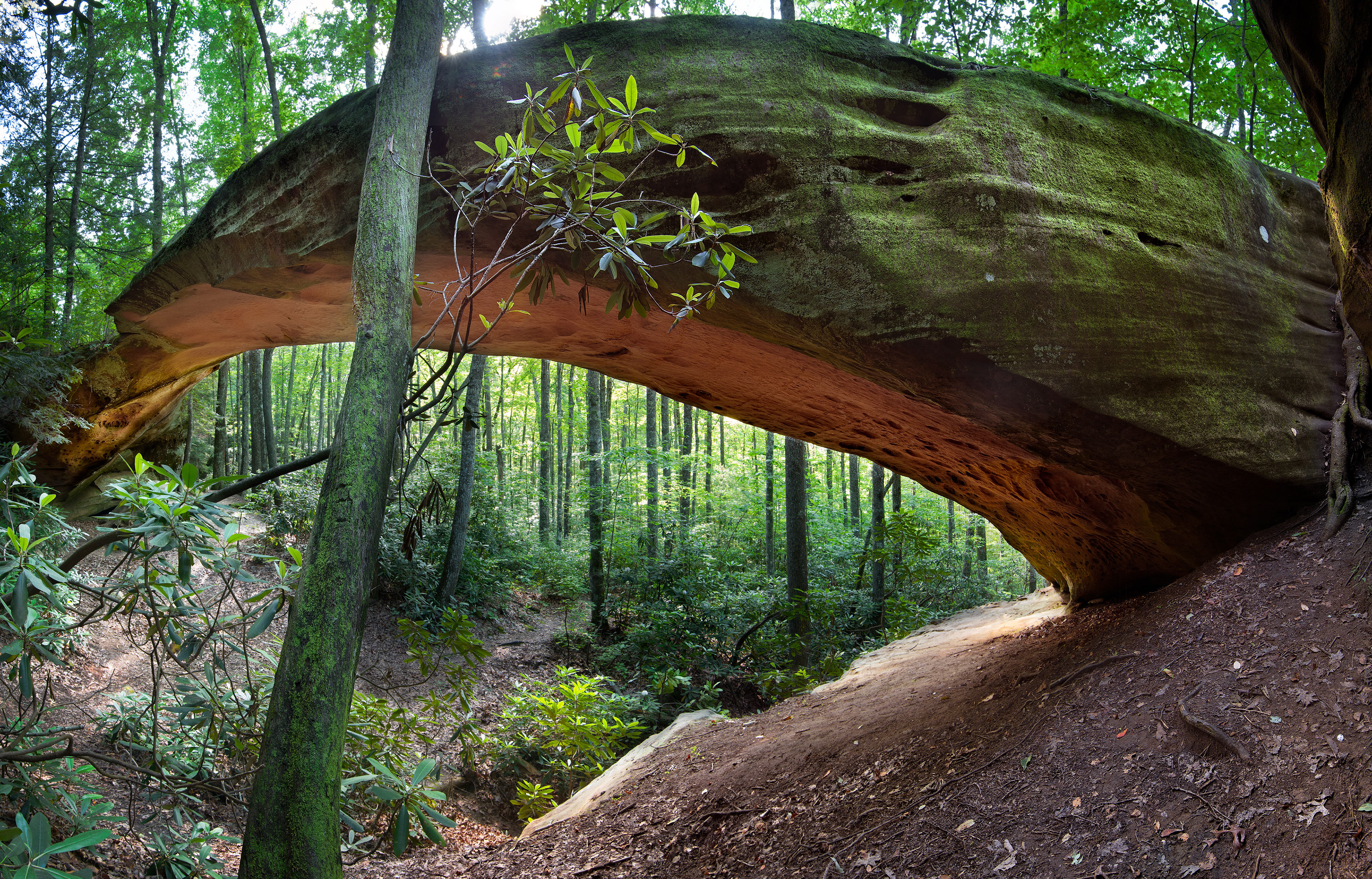 Natural Bridge Pickett State Park