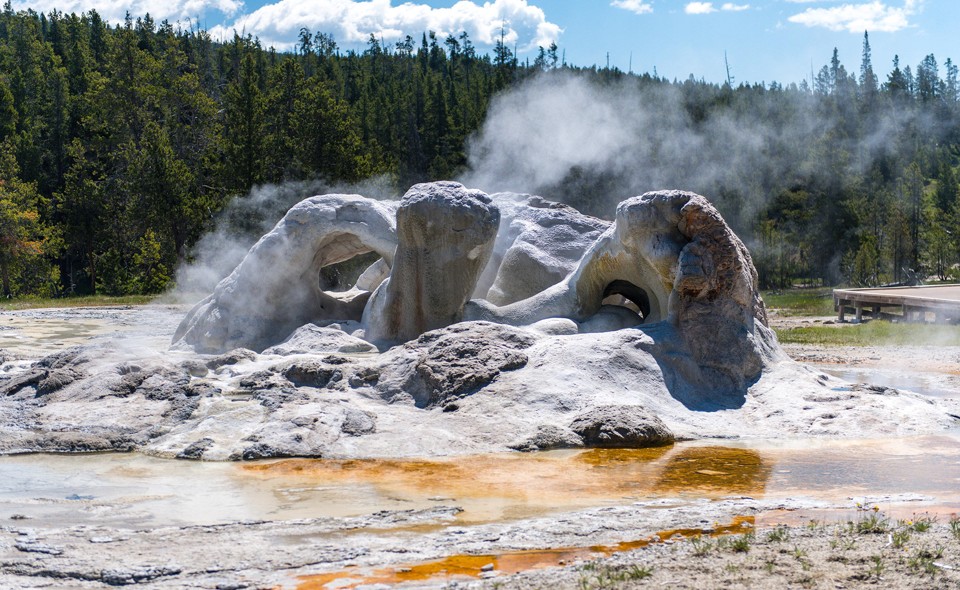 Upper Geyser Basin - Grotto Geyser
