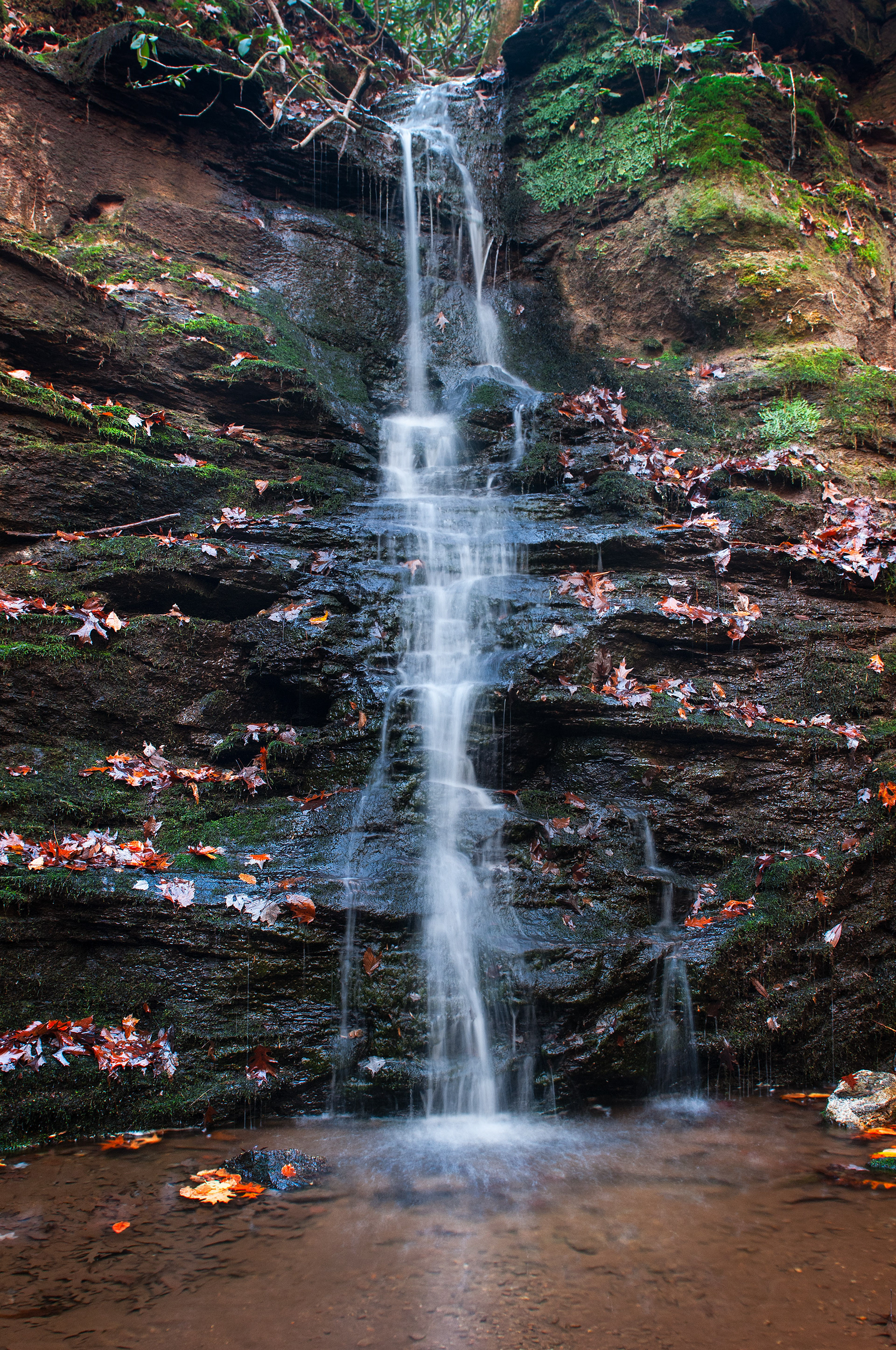 Warwoman Dell Falls, North GA