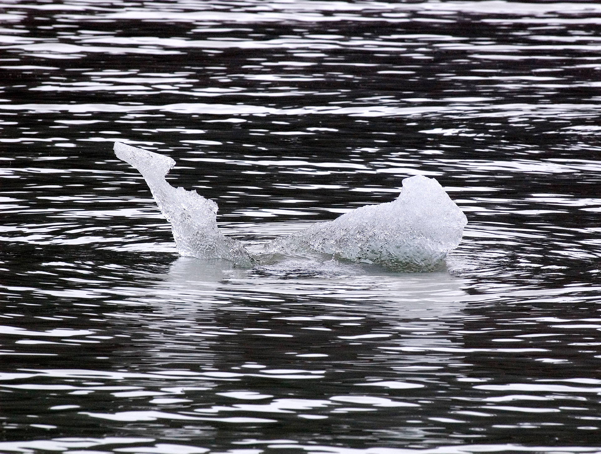 Mendenhall Glacier